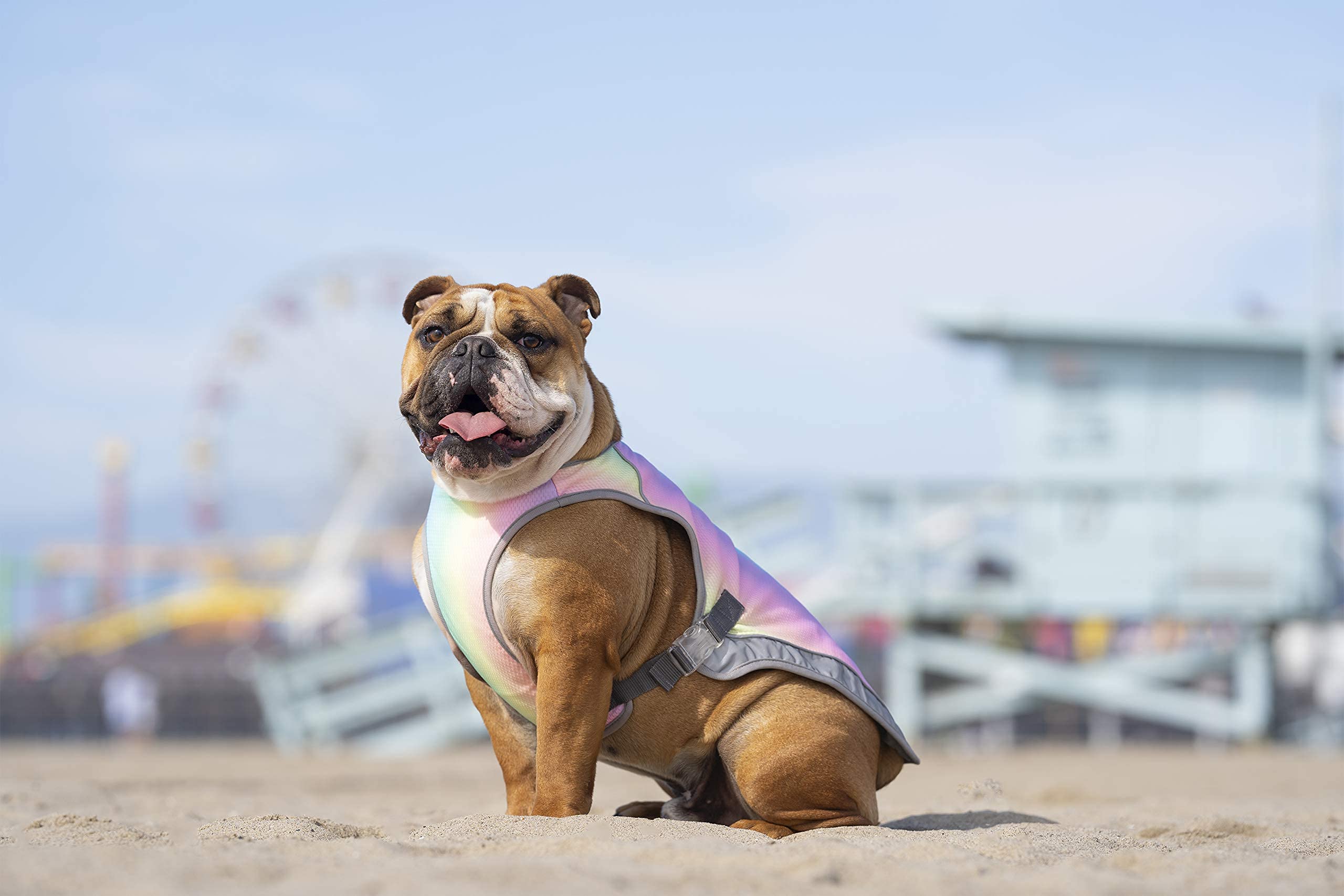Canada Pooch Dog Cooling Vest - Evaporative Cooling Vest For Dogs With Breathable Mesh Material & Reflective Lining, Adjustable For Dogs 8 (7-9' Back Length), Rainbow