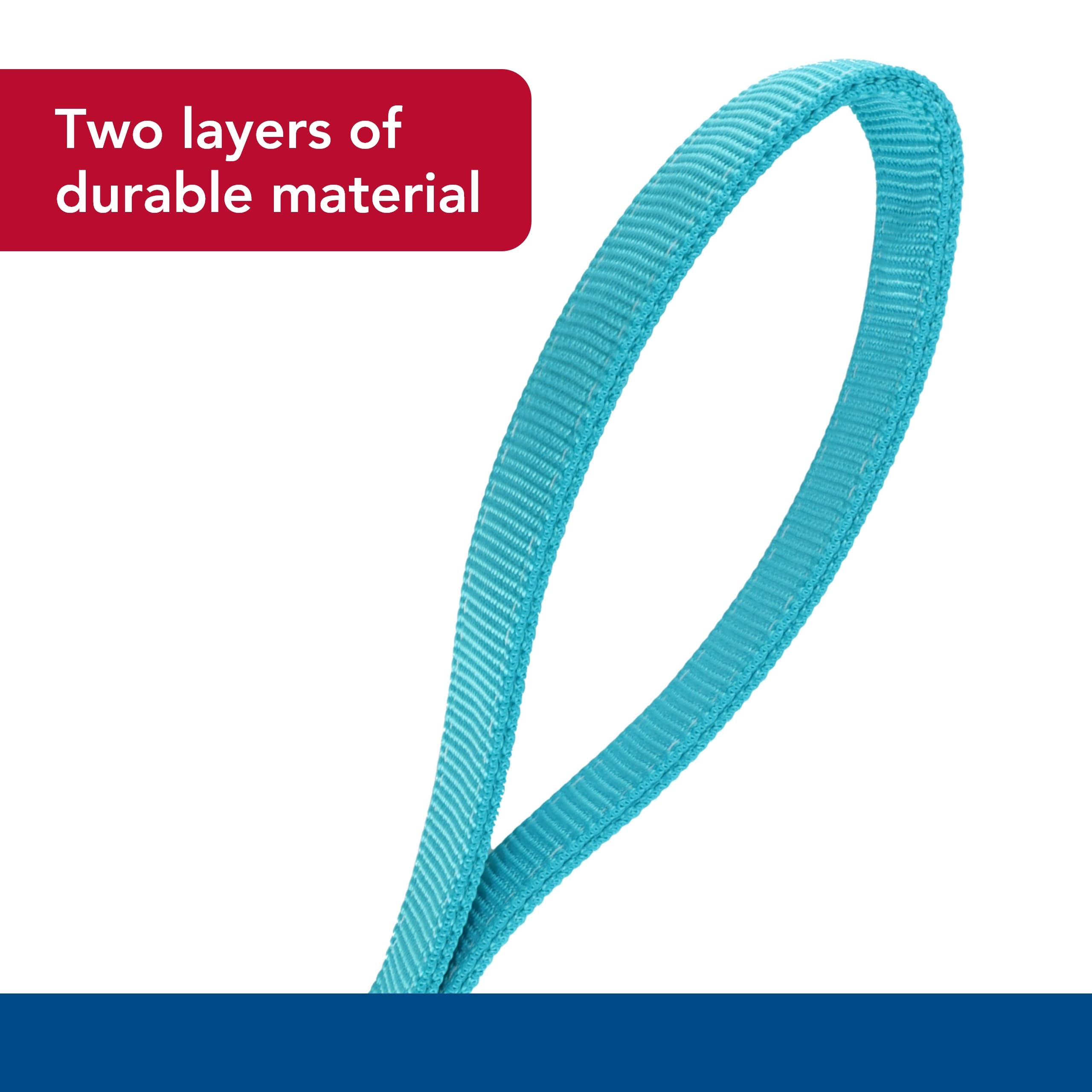 Coastal Pet Double-Ply Dog Leash - Bolt Snap Attachment To Collars And Harnesses - Nylon Dog Walking Leash For Small, Medium And Large Dogs - Teal - 1' X 6'