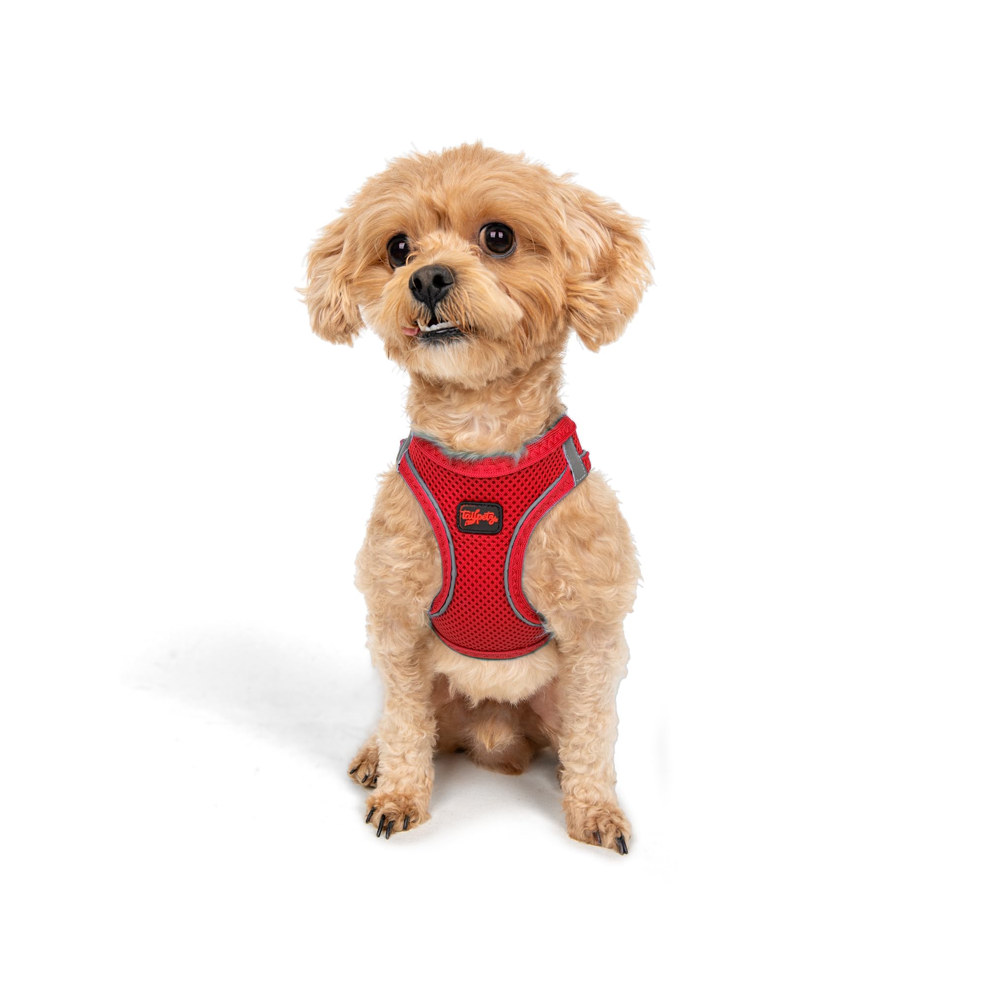 Tailpetz XXSmall Dog Harness - Adjustable Step in No Pull Harness for Puppies Under 5 Pounds (Bright Red, 2XS)