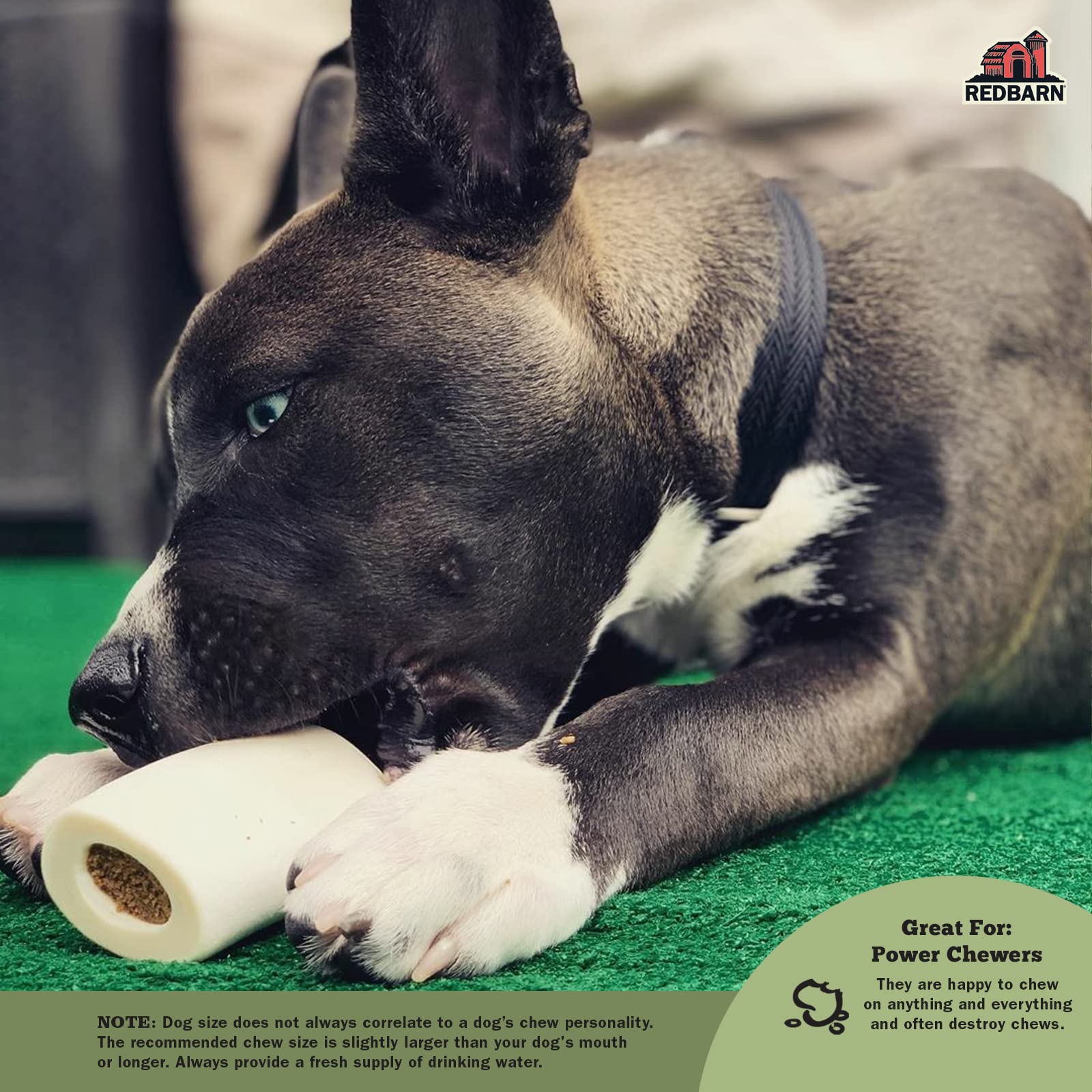 Redbarn Large Filled Dog Bones, Cheese & Bacon Flavor - Long Lasting Stuffed Femur Chew Treat Made in USA - 4 Count - Packaging