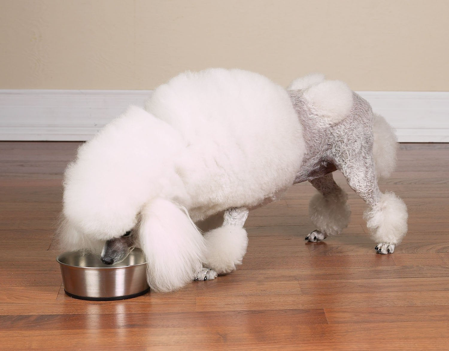 Pro Select Stainless Steel Dog Bowl With Rubber Base Sizes Vary (1 Pack), 30 Oz