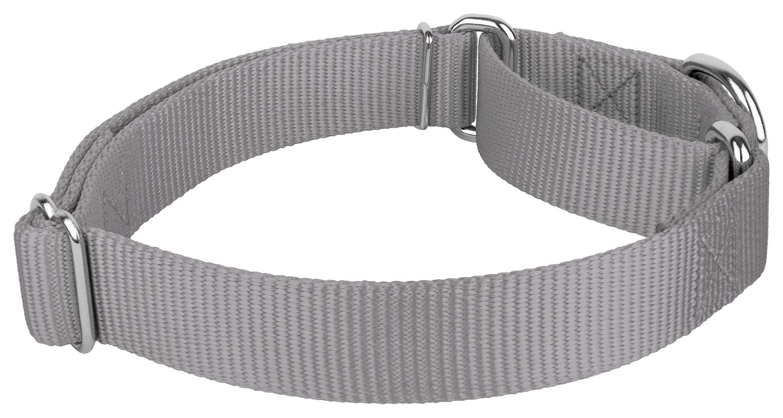 Country Brook Design - Silver Martingale Heavy Duty Nylon Dog Collar - 21 Vibrant Color Options (3/4 Inch Width, Small)