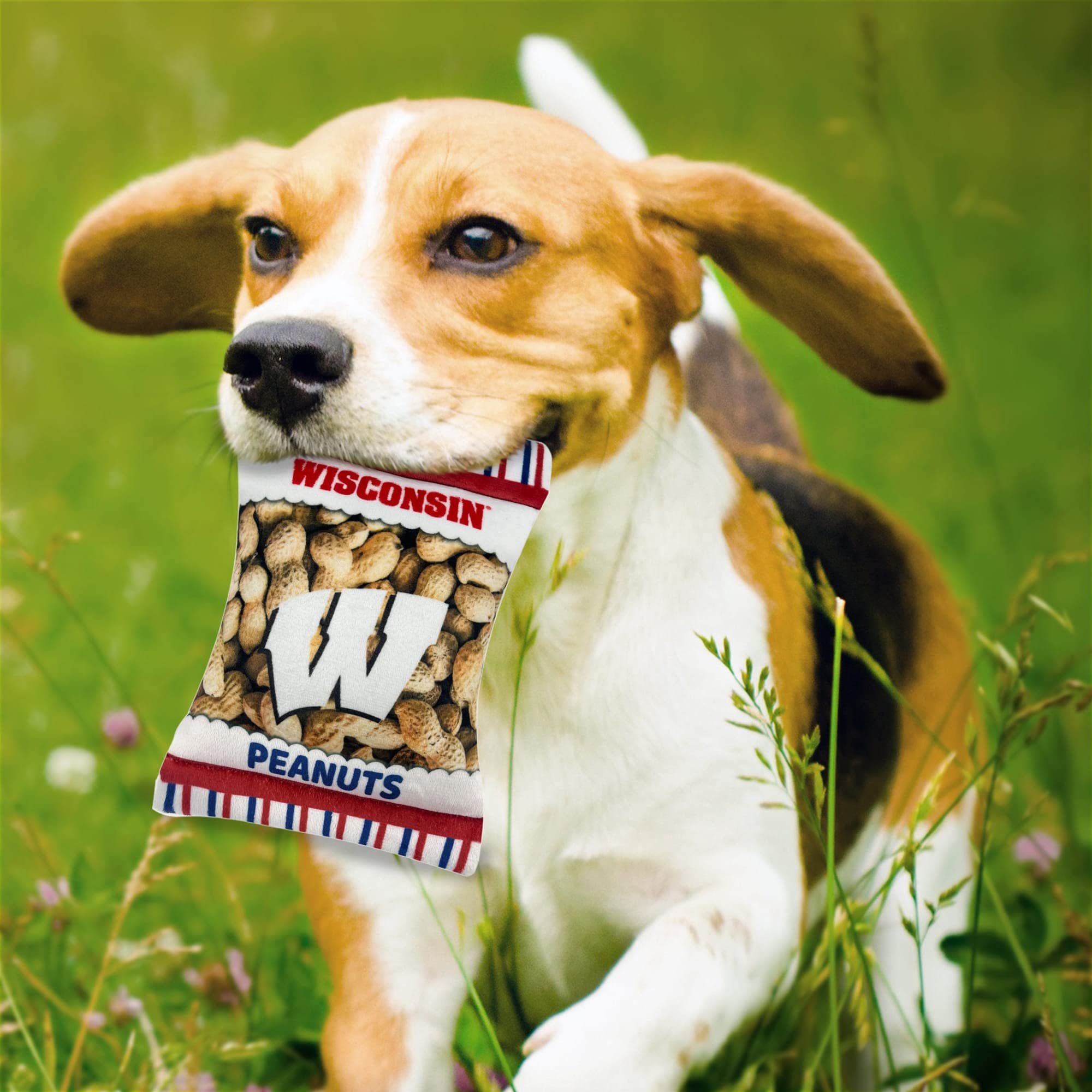 Pets First Ncaa Wisconsin Badgers Crinkle Fine Plush Dog & Cat Squeak Toy- Cutest Stadium Peanuts Snack Toy For Dogs & Cats With