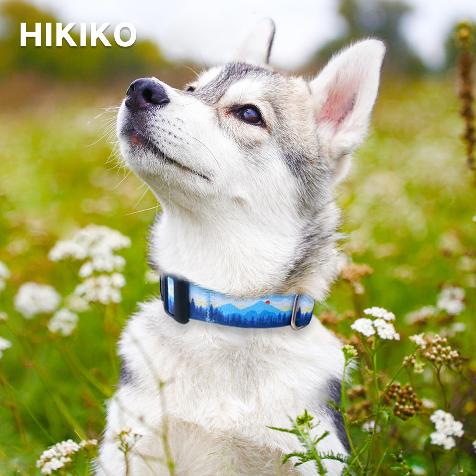 Hikiko Martingale Collar For Dogs Soft Durable Dog Collar For Small Medium Large Boy And Male Dogs No Pull No Slip Safety Buckle
