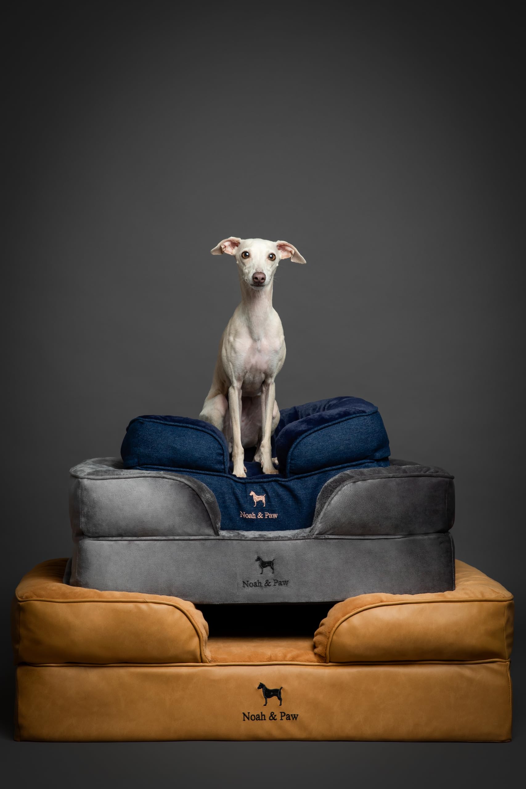 NOAH & PAW Large Dog Bed, 35x25x11 Inch, Orthopedic Dog Beds, Eggshell Memory Foam Infused with Cooling Gel, Inner Cover, Waterp