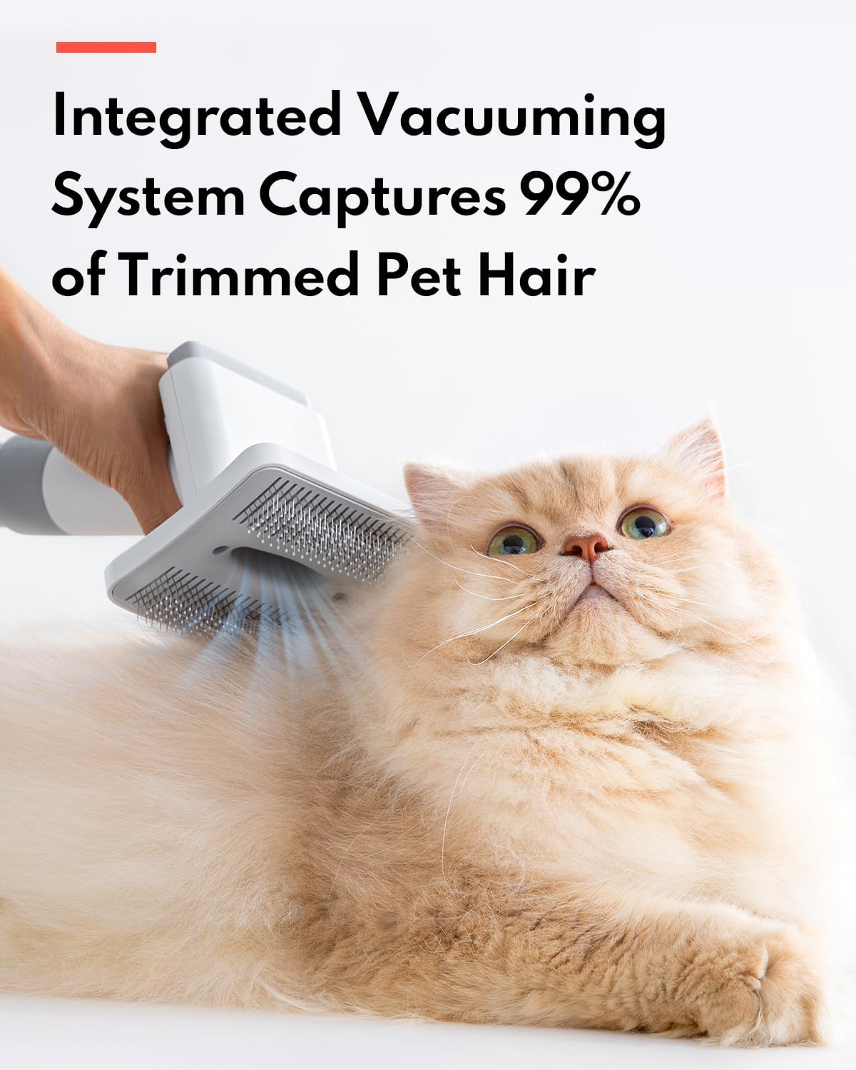 Homerunpet Ultra Quiet Dog Grooming Vacuum, Pet Vacuum, Suction 99% Pet Hair, 6 Tool Grooming Kit, Anti Shedding, 1.85L Dust Cup