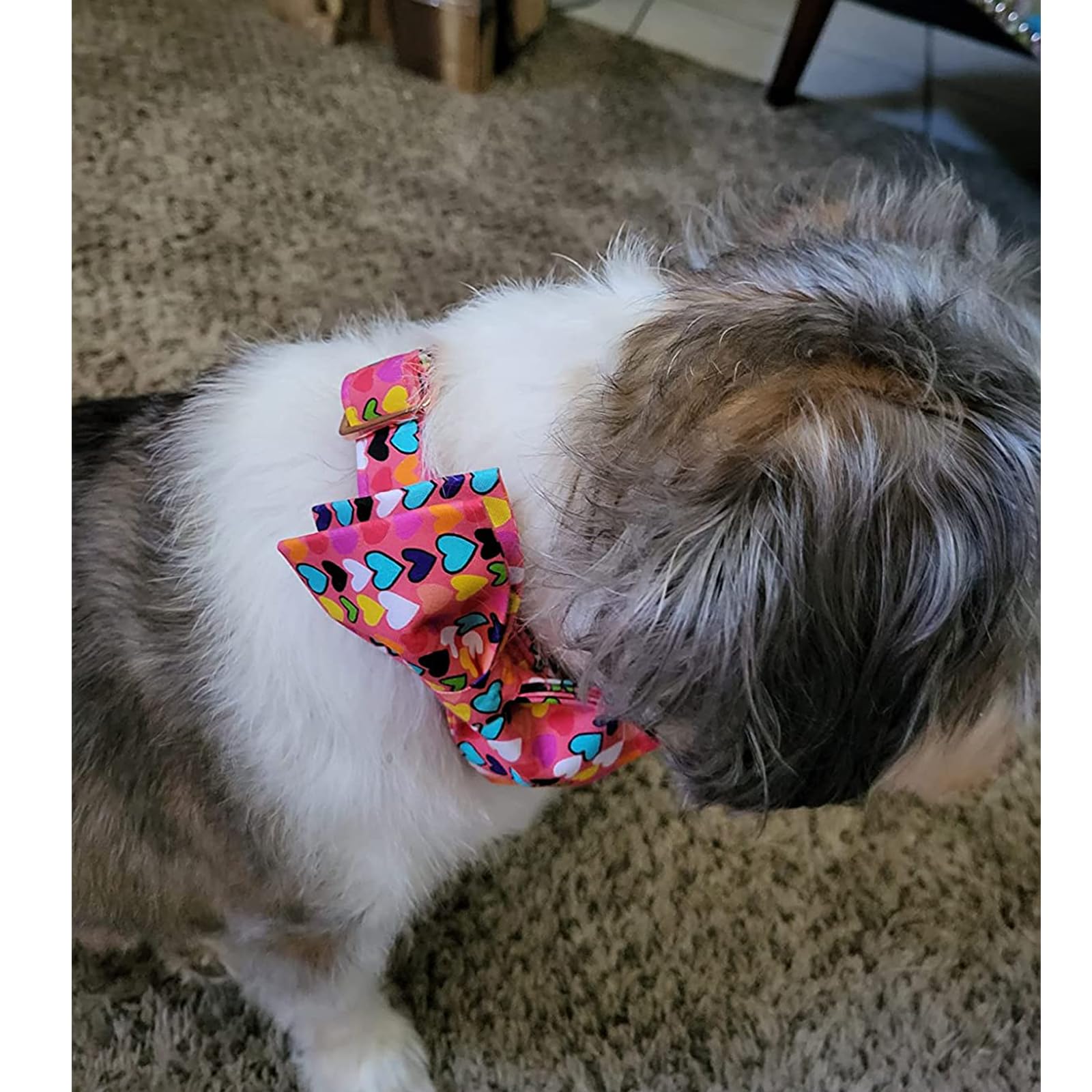 Lionheart Glory Valentine'S Dog Collar, Dog Collar With Bow, Pet Collar Adjustable Dog Collar For Dog Bowtie Dog Collars For Large Dogs