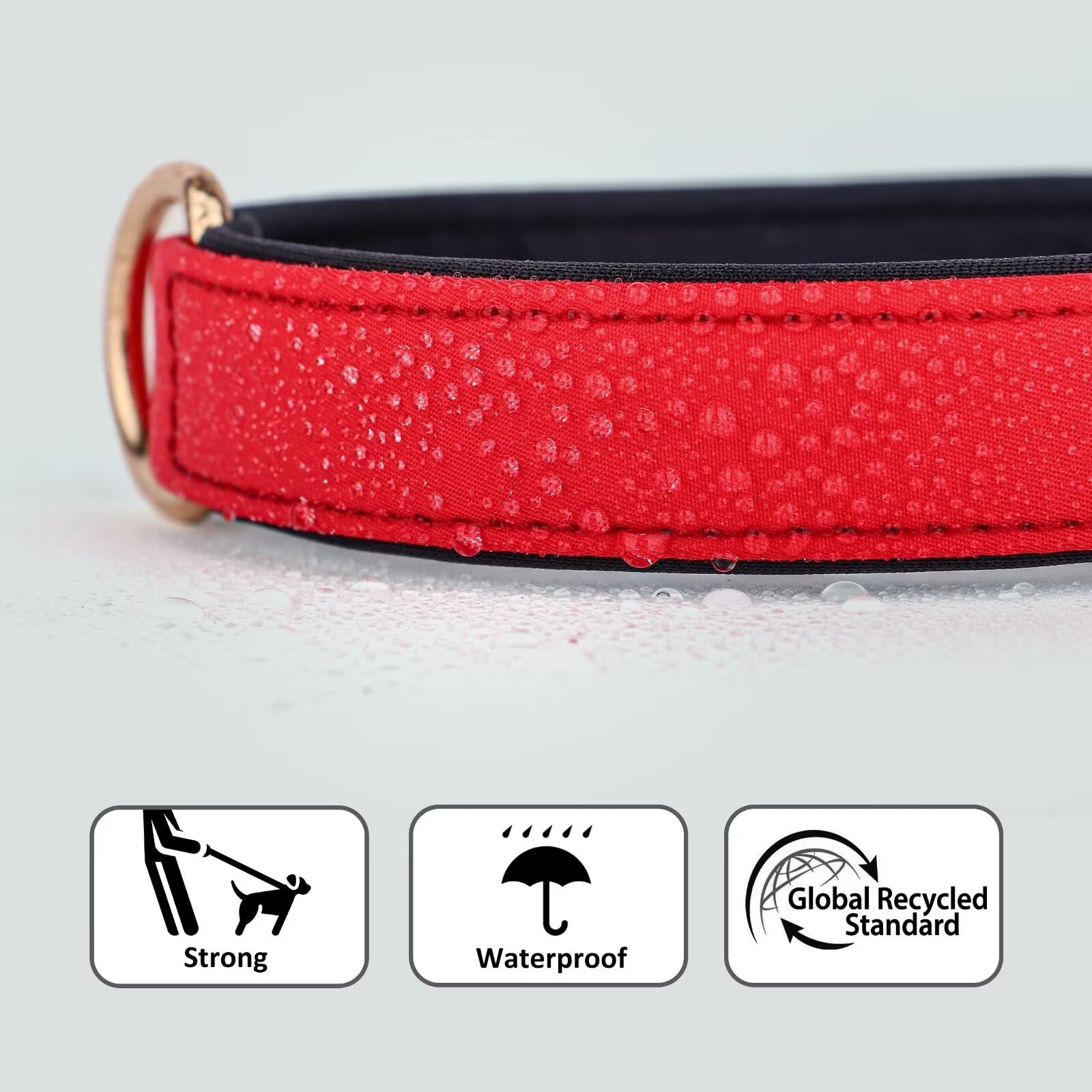 Didog Soft Padded Dog Collars For Small Dogs, Lightweight And Breathable Dog Collar Waterproof With Metal Buckle For Puppy, Red,