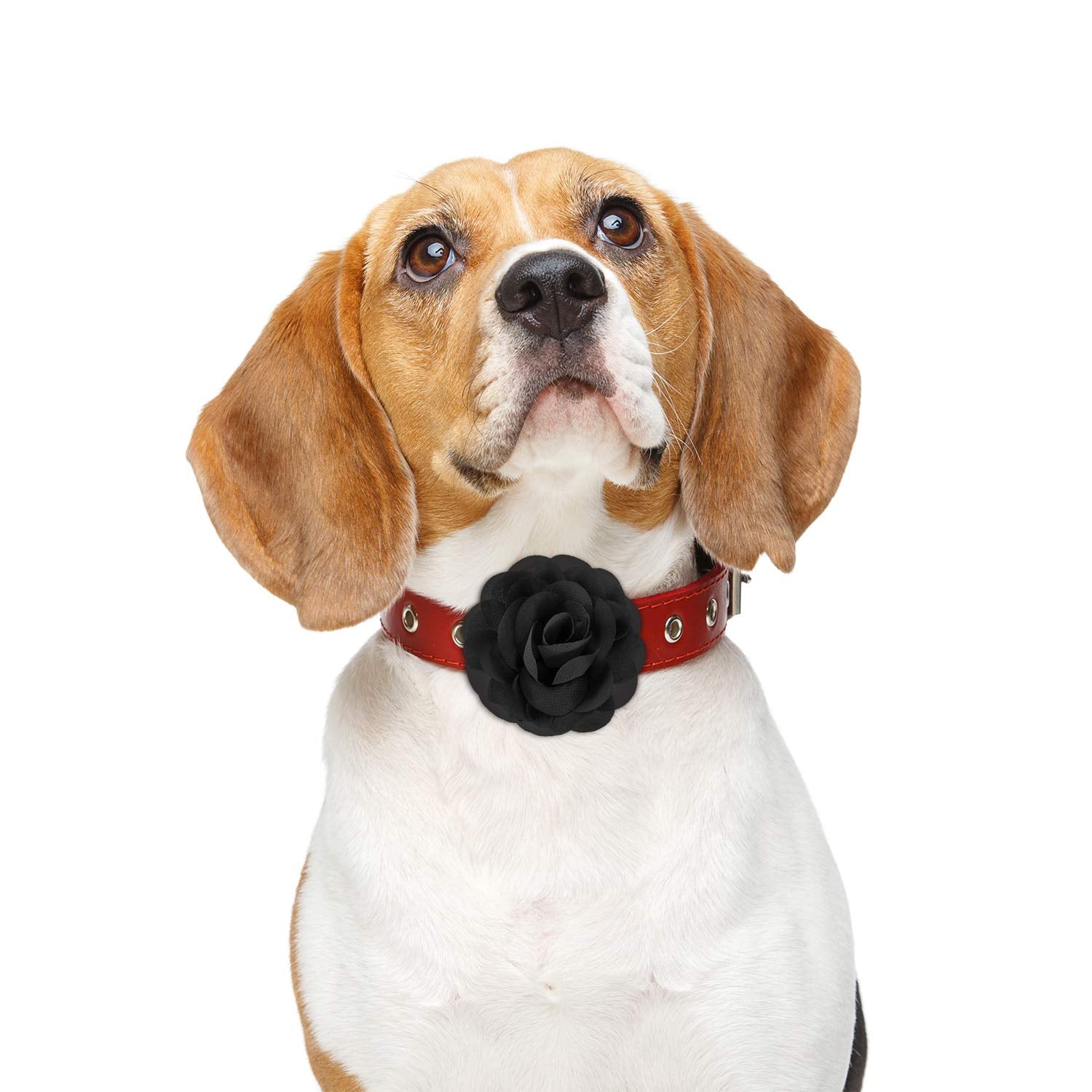 4 Pieces Dog Flower Bow Collar Multicolored Pet Bow Collar Dog Charms Flower Set For Puppy Dog Collar Cat Pet Grooming Accessories (Black, Blue Black, Dark Purple, Black Purple)