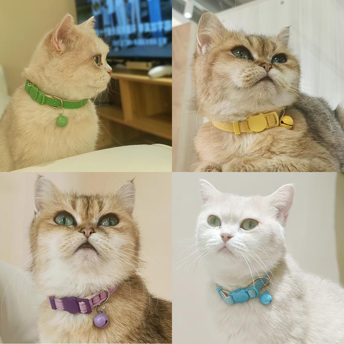 Superbuddy Cat Collars Breakaway With Bell - 4 Pack Cat Safety Collars For Boys & Girls - Safety Buckle Kitten Collar For Pet Su