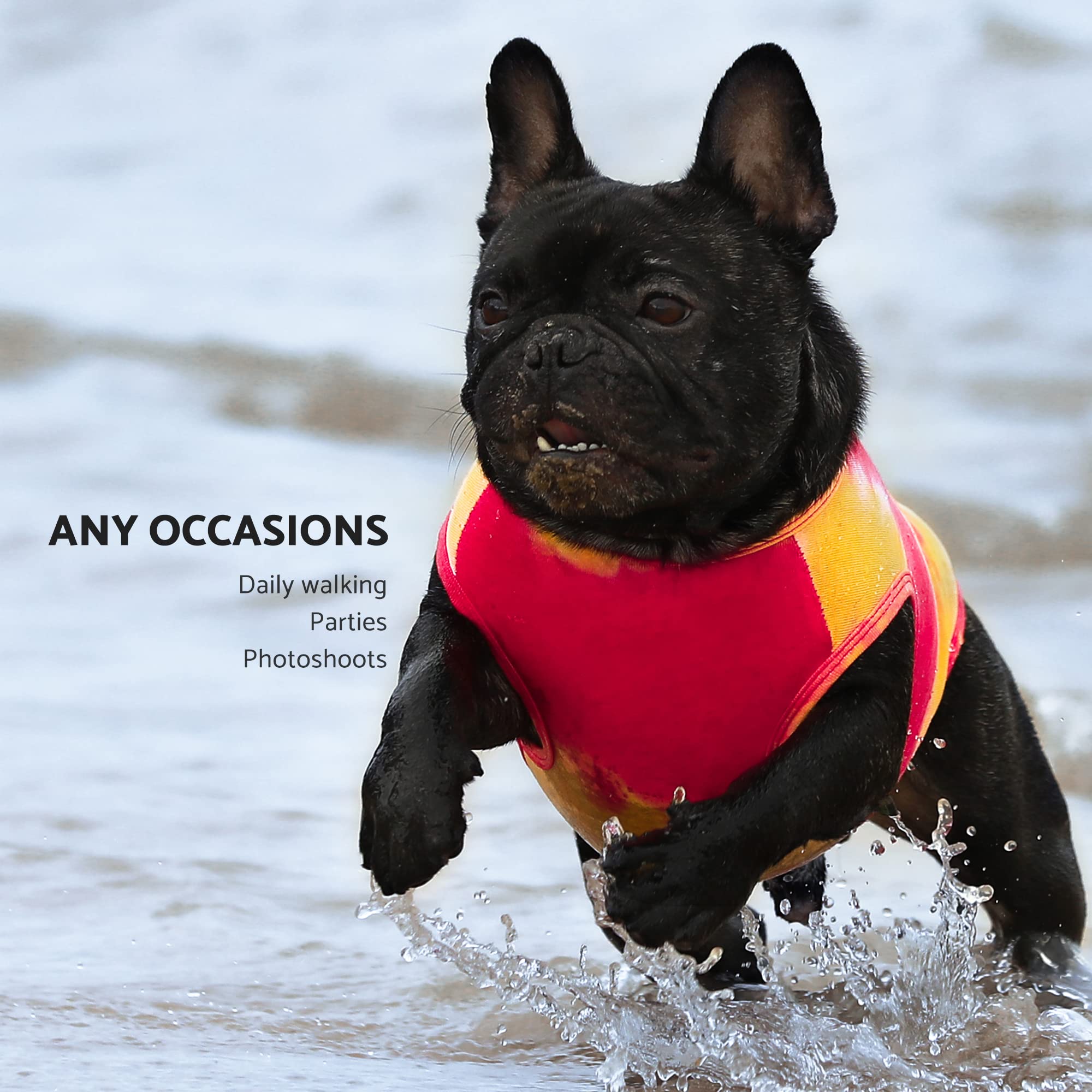 Fitwarm 2 Pack Dog Tie Dye Shirt, Dog Clothes For Small Dogs Boy, Pet Cat Outfit, Breathable Cotton, Orange, Blue, Xxl