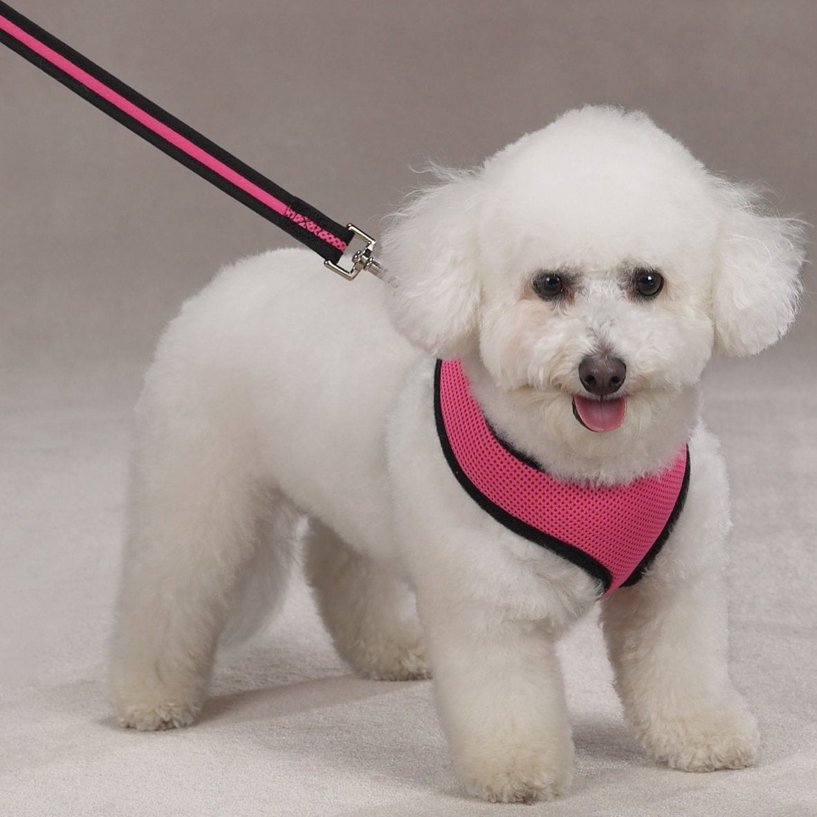 Casual Canine Mesh Dog Harness, Medium, Pink