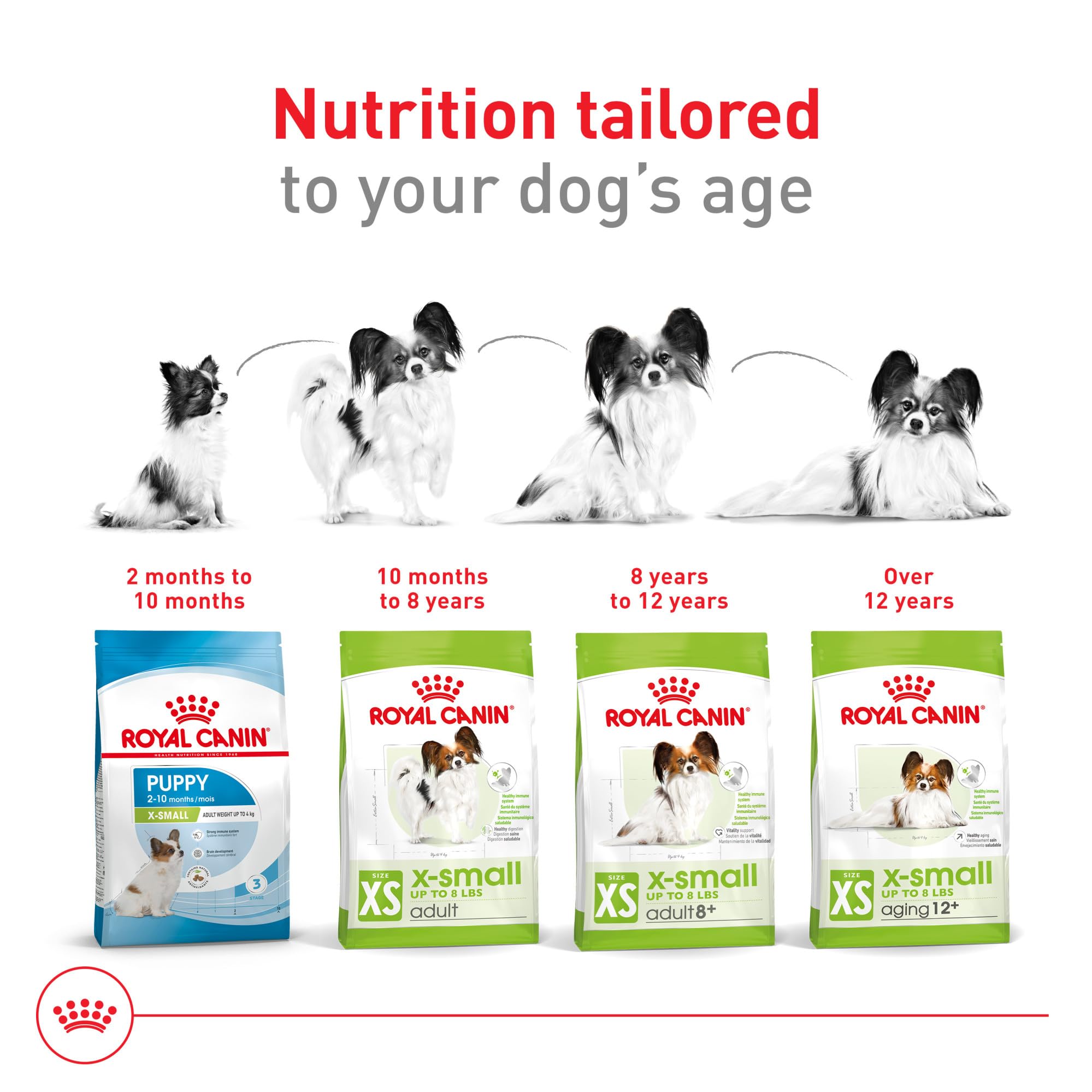 Royal Canin X-Small Adult Dry Dog Food, 14 lb Bag - Size Health Nutrition, Model 512214