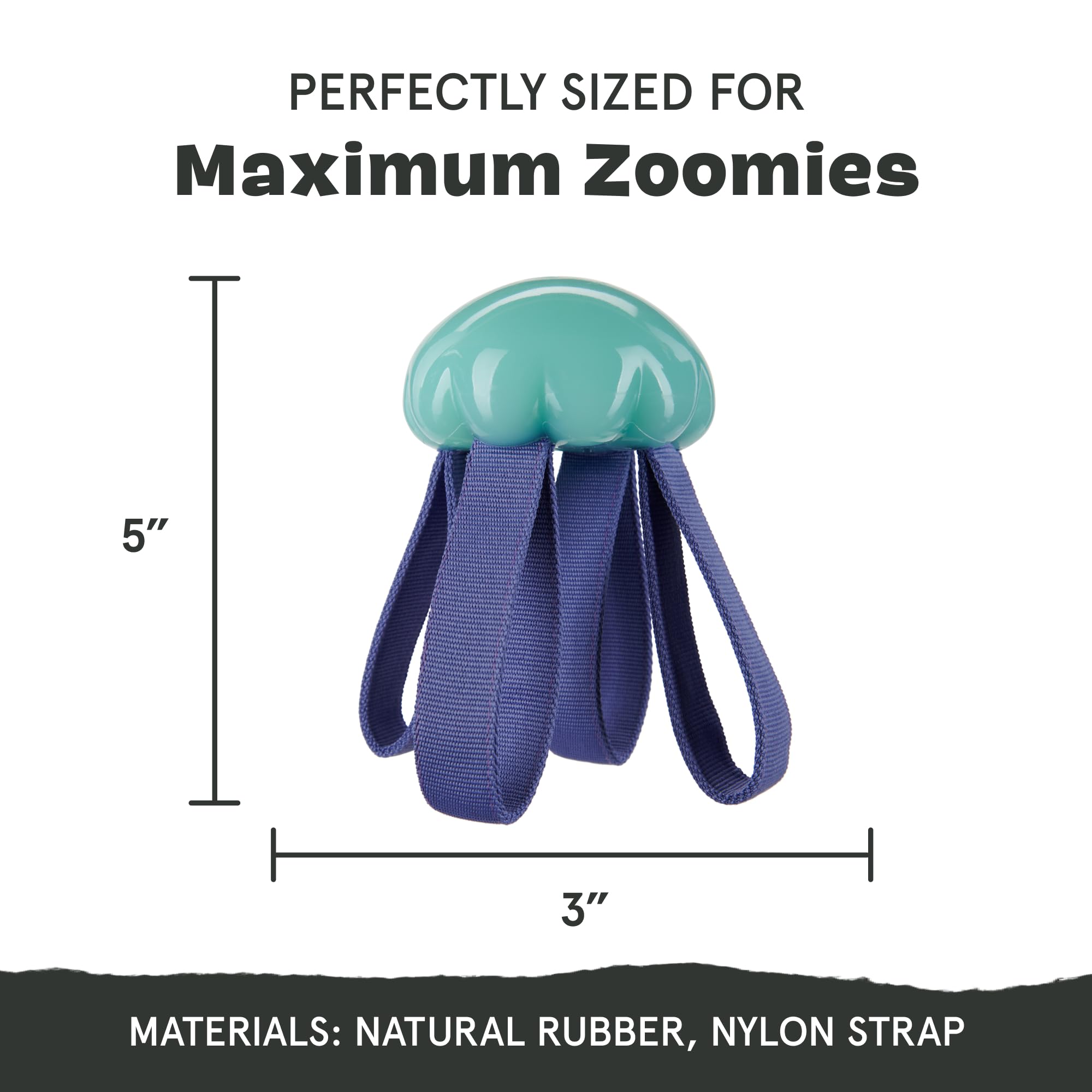 Barkbox Jelly Fetch Dog Toy For Medium Dogs - Perfect For Tug And Fetch Play, Durable Design With Strong Nylon Straps For Long-L