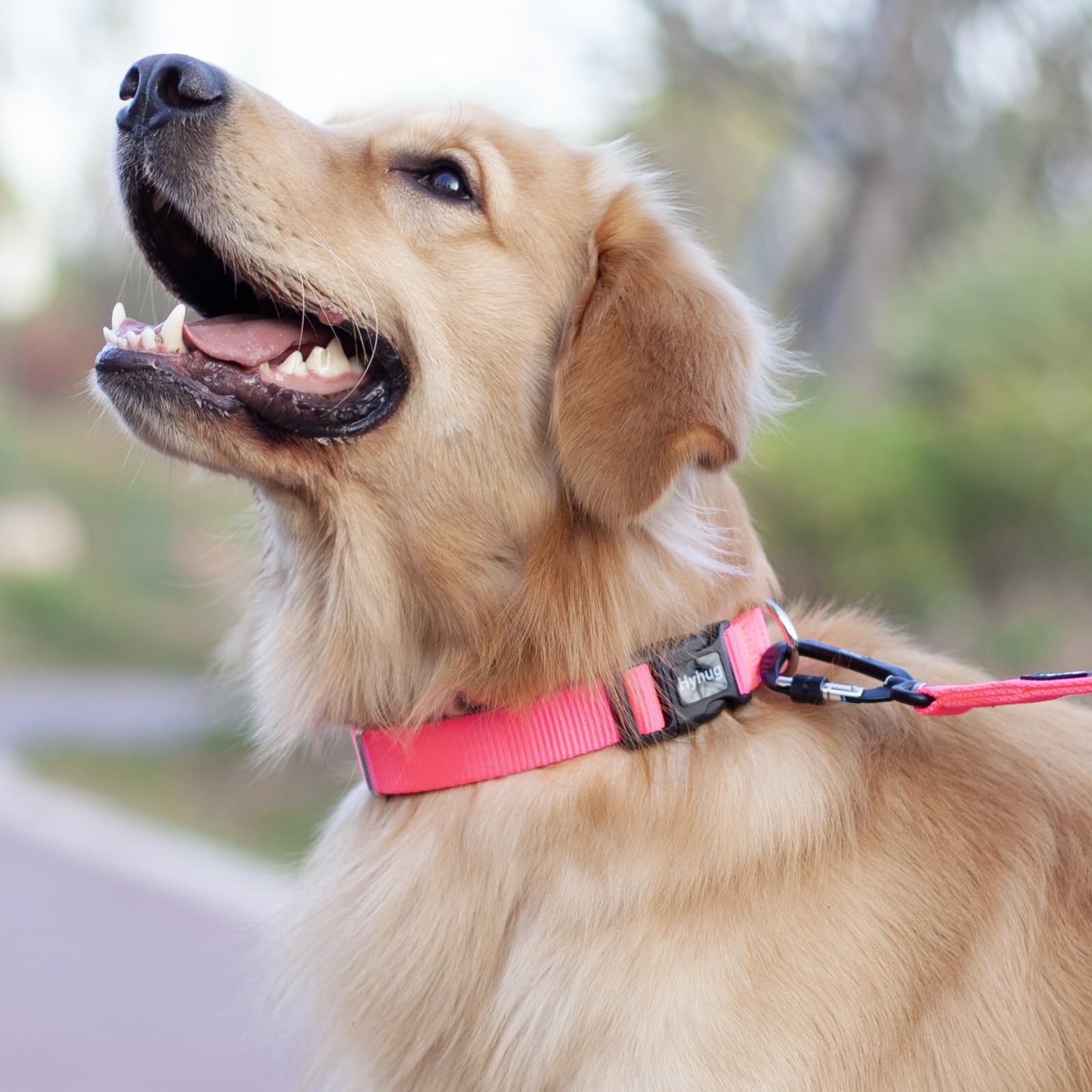 Hyhug Puppy Collar With Quick Release Buckle, Nylon Adjustable Durable Cute Dog Collar For Small Dogs, Male And Female (Candy Pi