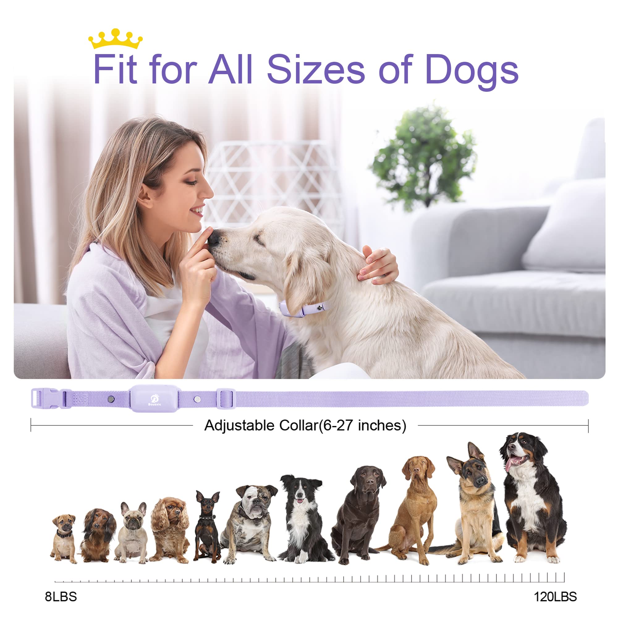 Bousnic Waterproof Rechargeable Shock Collar for Dogs - Remote Training Collar with Beep, Vibration, Safe Shock Modes (Purple, 8-120 lbs)