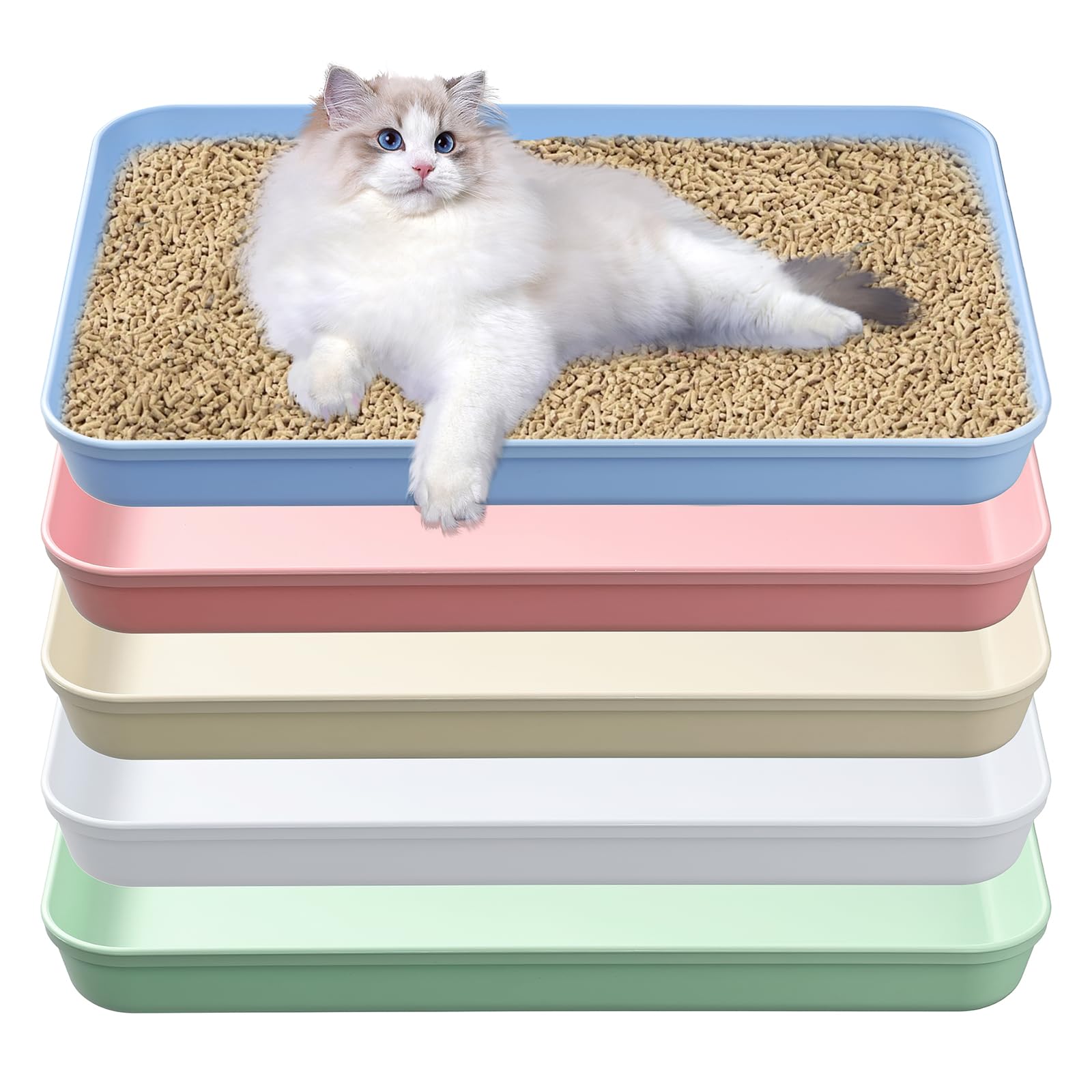 5 Pcs Medium Open Cat Litter Box,15 x 10.4 x 1.6 Inch Plastic Kitten Litter Pan, Low Entry Cat Litter Tray Travel Toilet for Cat