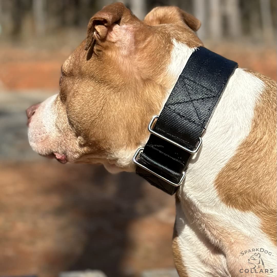 Sparkdog Collars Working Dog Collar - 2 Wide, 4Ply Polyester Seatbelt Webbing, Heavy Duty Stainless Steel Welded Hardware, Tac