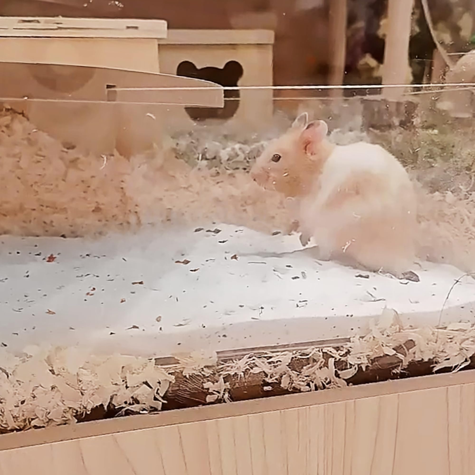 Dr.Dudu Hamster Bath Sand, 2.8Lb Dust Free Desert Sand Or Potty Litter Sand For Hamster Chinchillas Gerbil Syrian Mice Small Ani