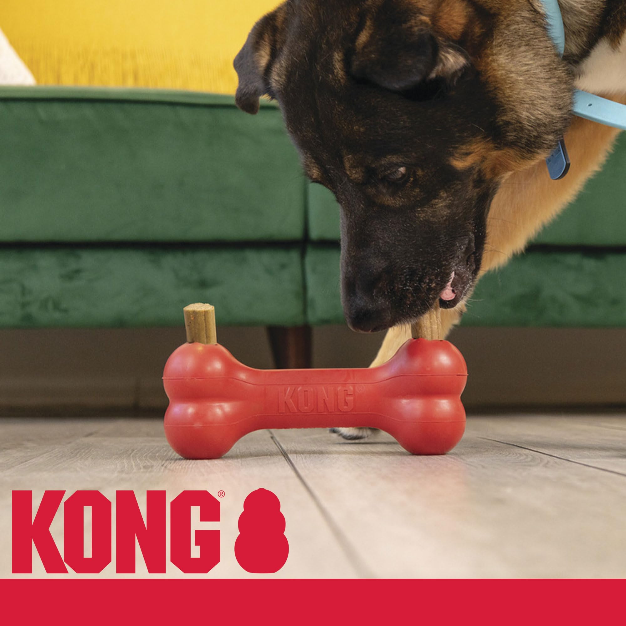 Kong Enhanced Ziggies Large Dog Treat, 8-Ounce (Pack of 3)