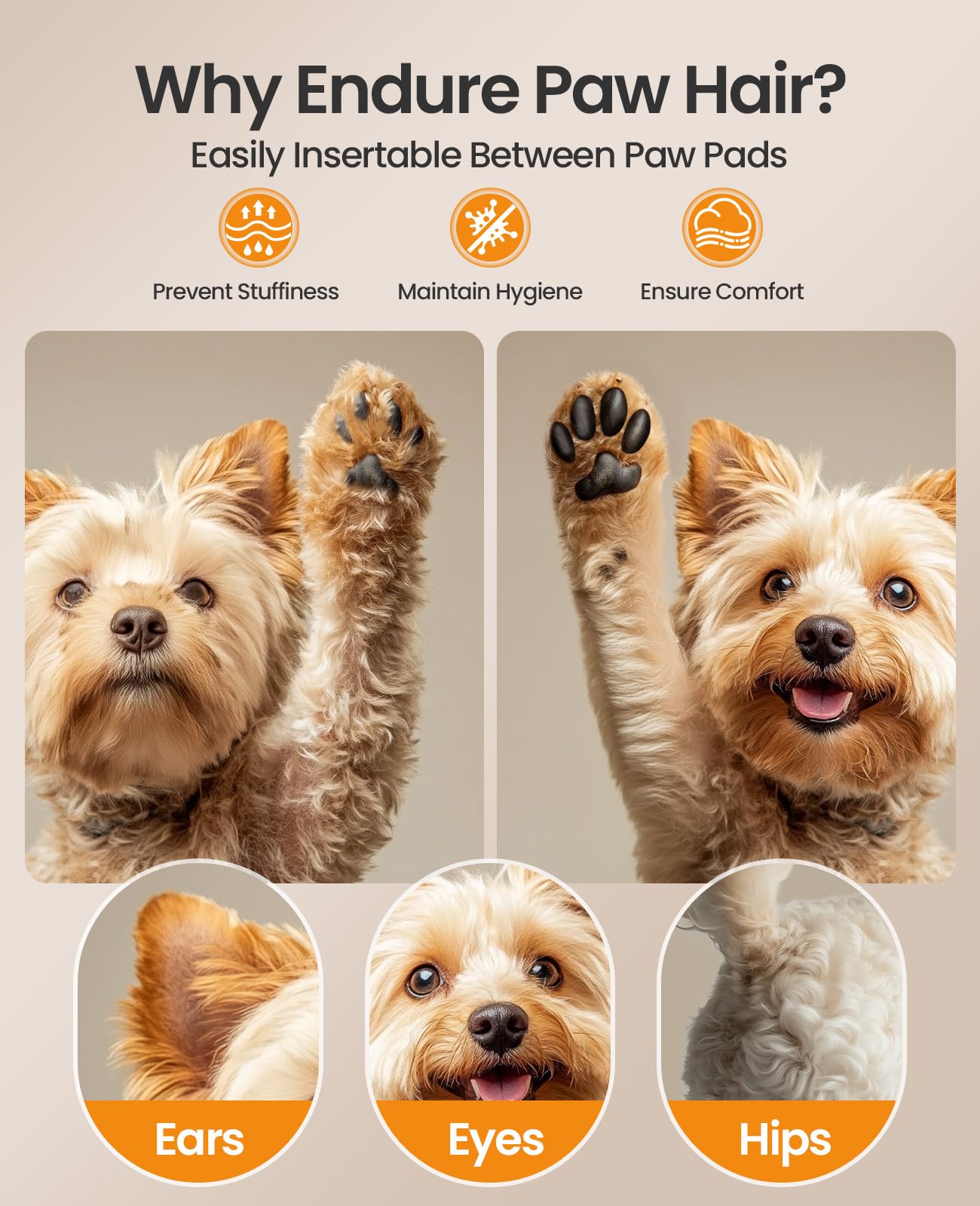 oneisall 2 in 1 Dog Clippers Grooming and Paw Trimmer, Cordless 50dB Quiet Rechargeable 2 Speed Dog Hair Clippers with Detachabl