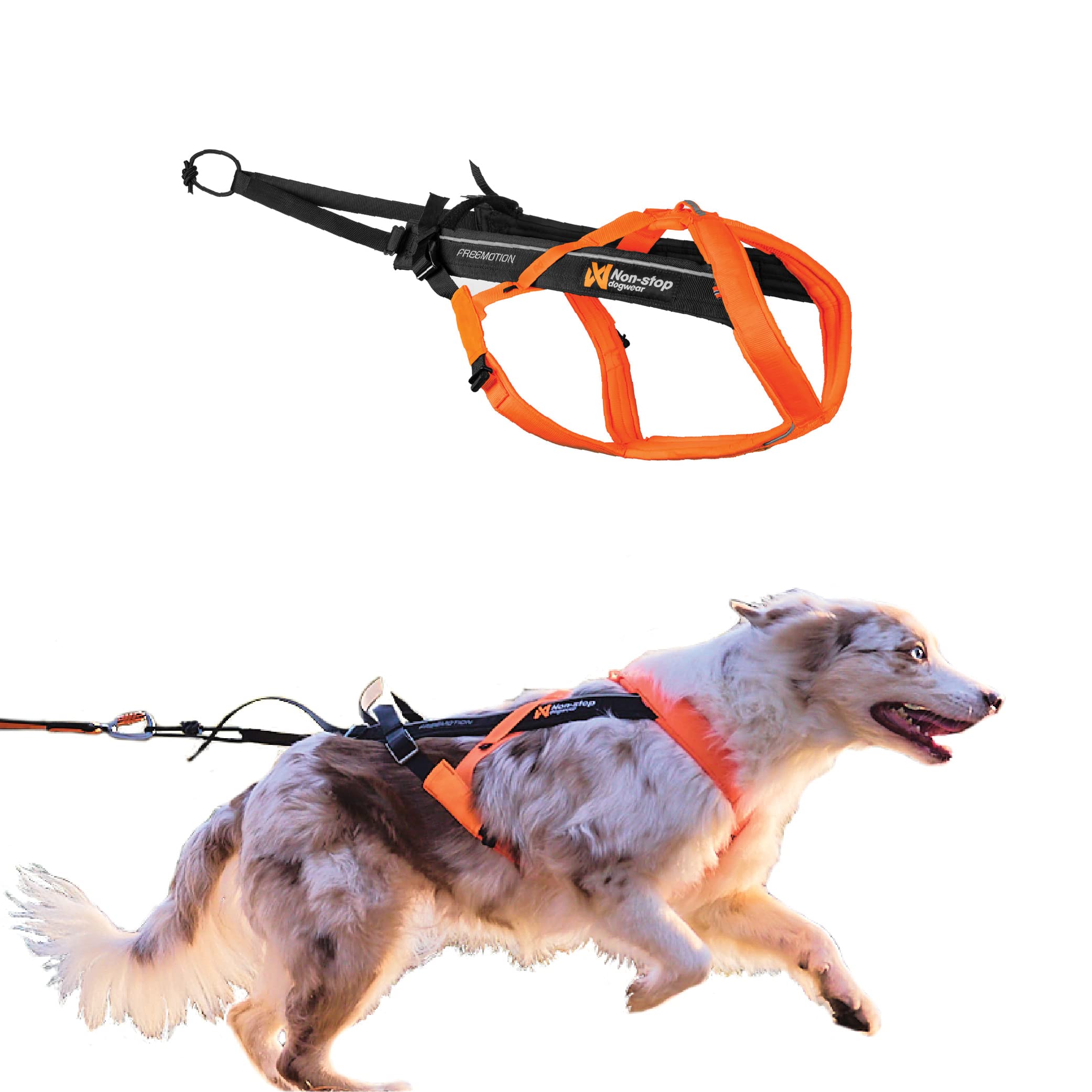 Non-Stop Dogwear Freemotion Harness 5.0 Dog Pulling Harness For Sports Like Running, Biking And Skiing With Dogs, Professional Adjustable Dog Harness, Orange/Black, Size 5