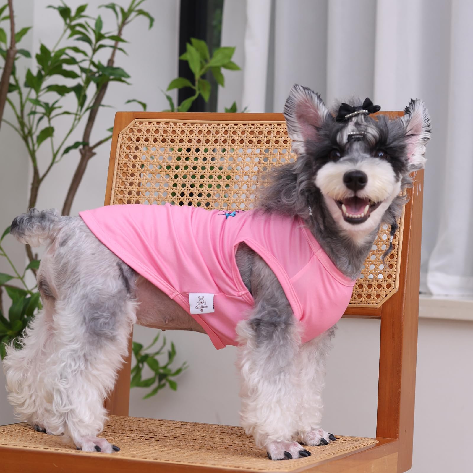 Cutebone Soft Dog Shirt Birthday Lightweight Small Puppy T-Shirts Pet Clothes Breathable Tee Vest Stretchy Outfit Cat Apparel Bx