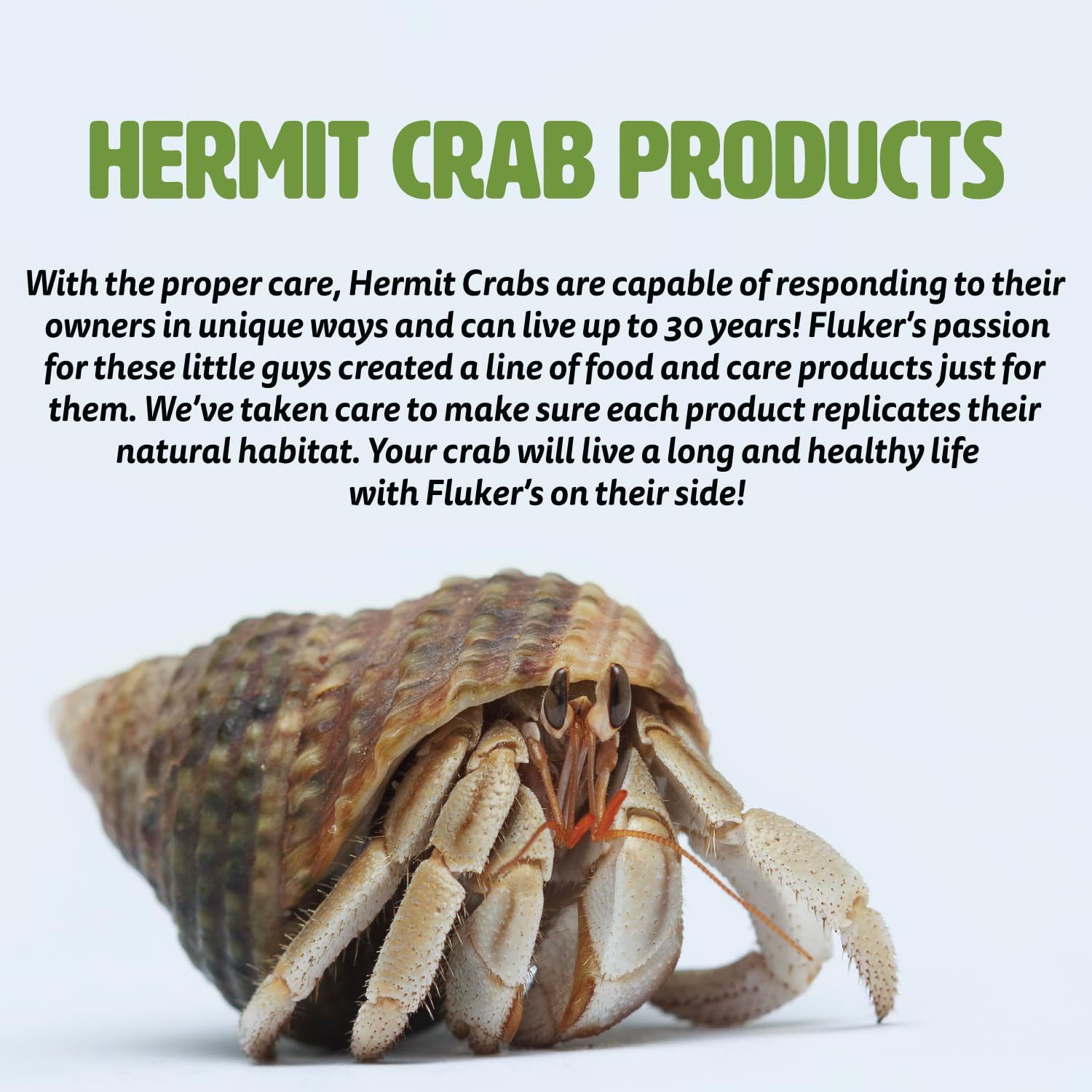 Flukers Premium Pellet Diet, Food for Hermit Crabs, 3 oz