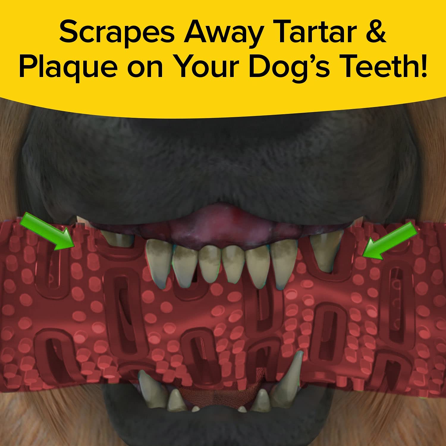 BulbHead Bonanza Toothbrush for Dogs - Plaque & Tartar Remover, 8 x 2, Infused with Real Flavor, 3 Pack, Brush Bone Bacon