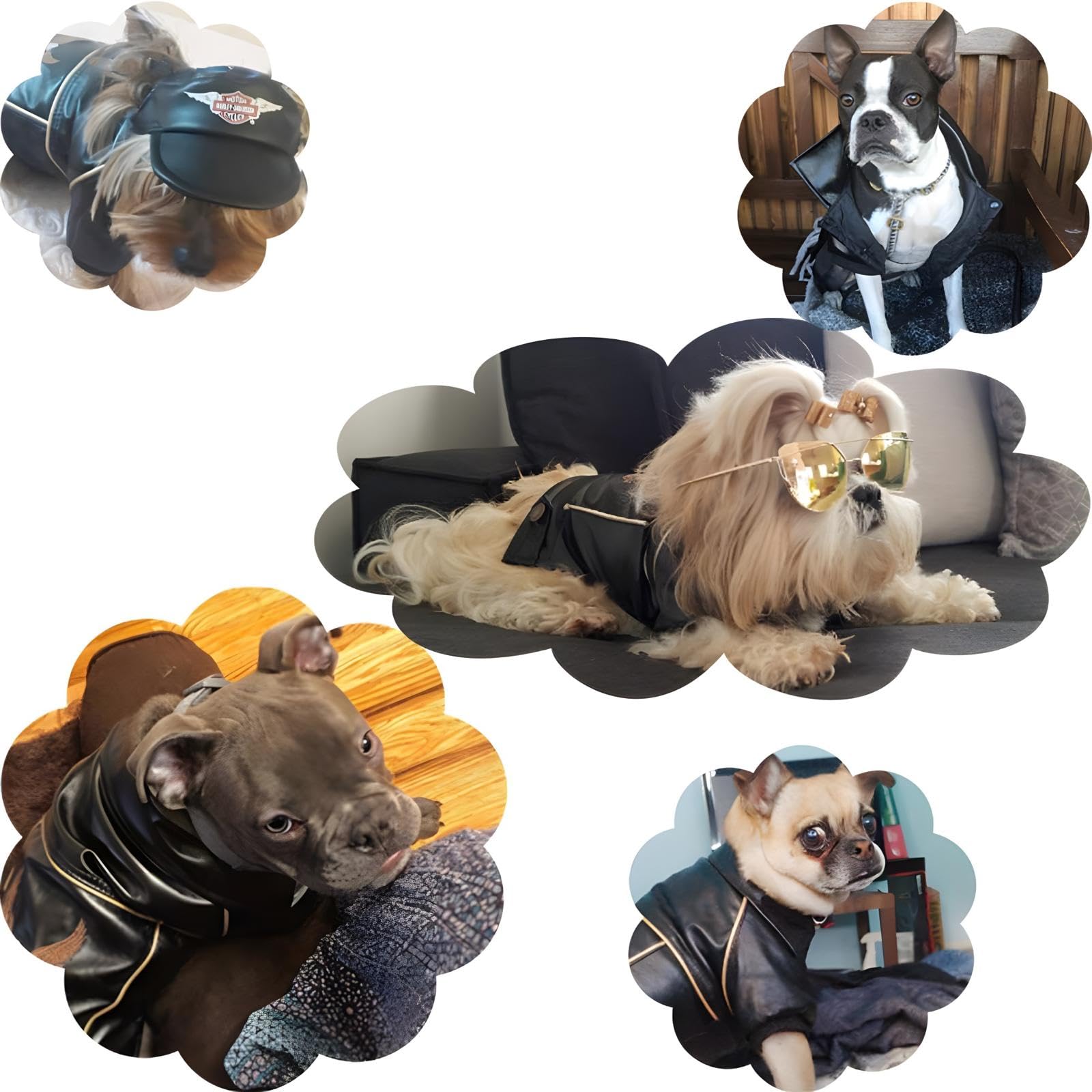 Niula Dog Winter Coat Pu Leather Motorcycle Jacket For Dog Pet Clothes Leather Jacket, Waterproof(3Xl)