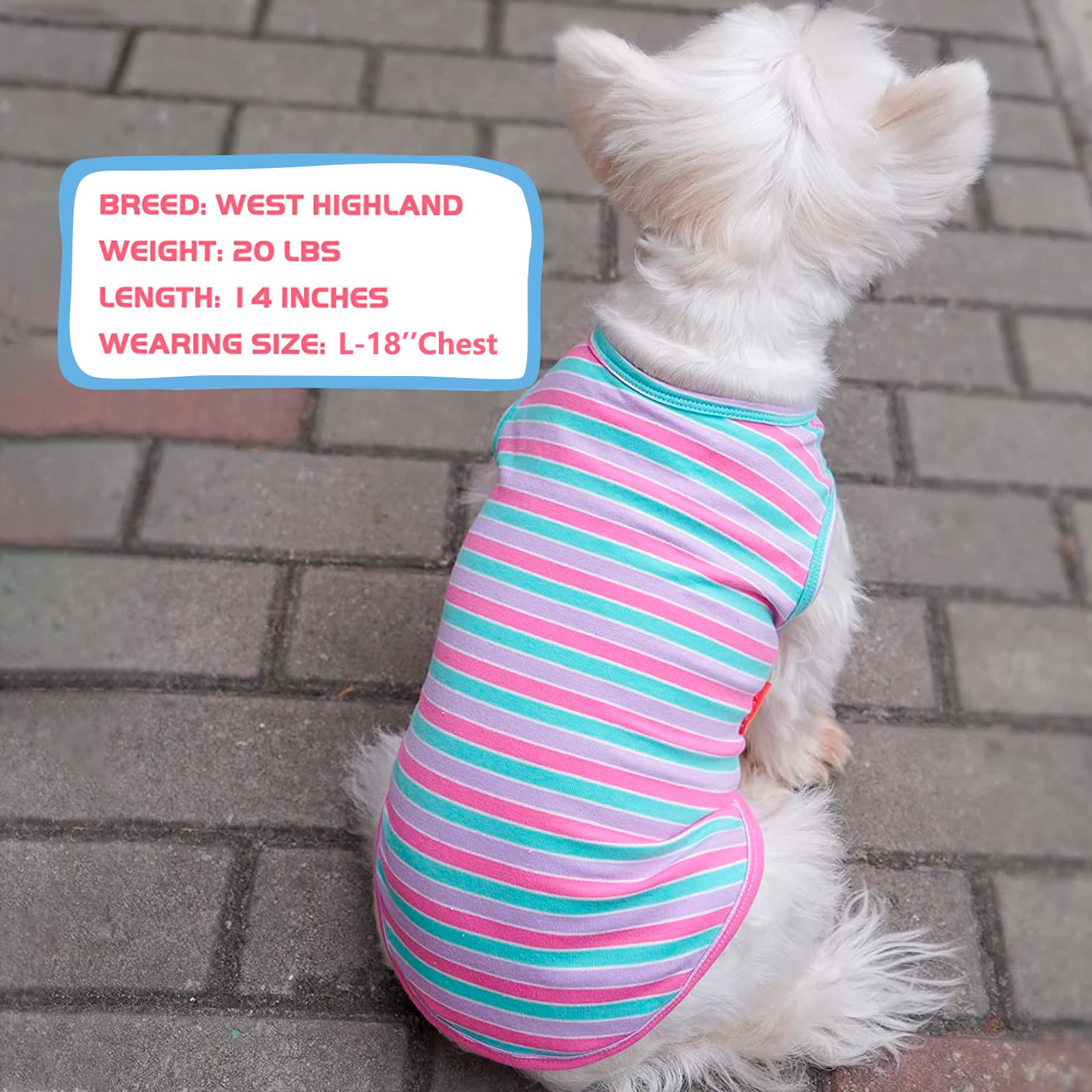 Kyeese 2 Pack Dog Shirts Striped Dog T-Shirts Soft Cotton Tank Top Sleeveless Vest Cat Puppy Shirts