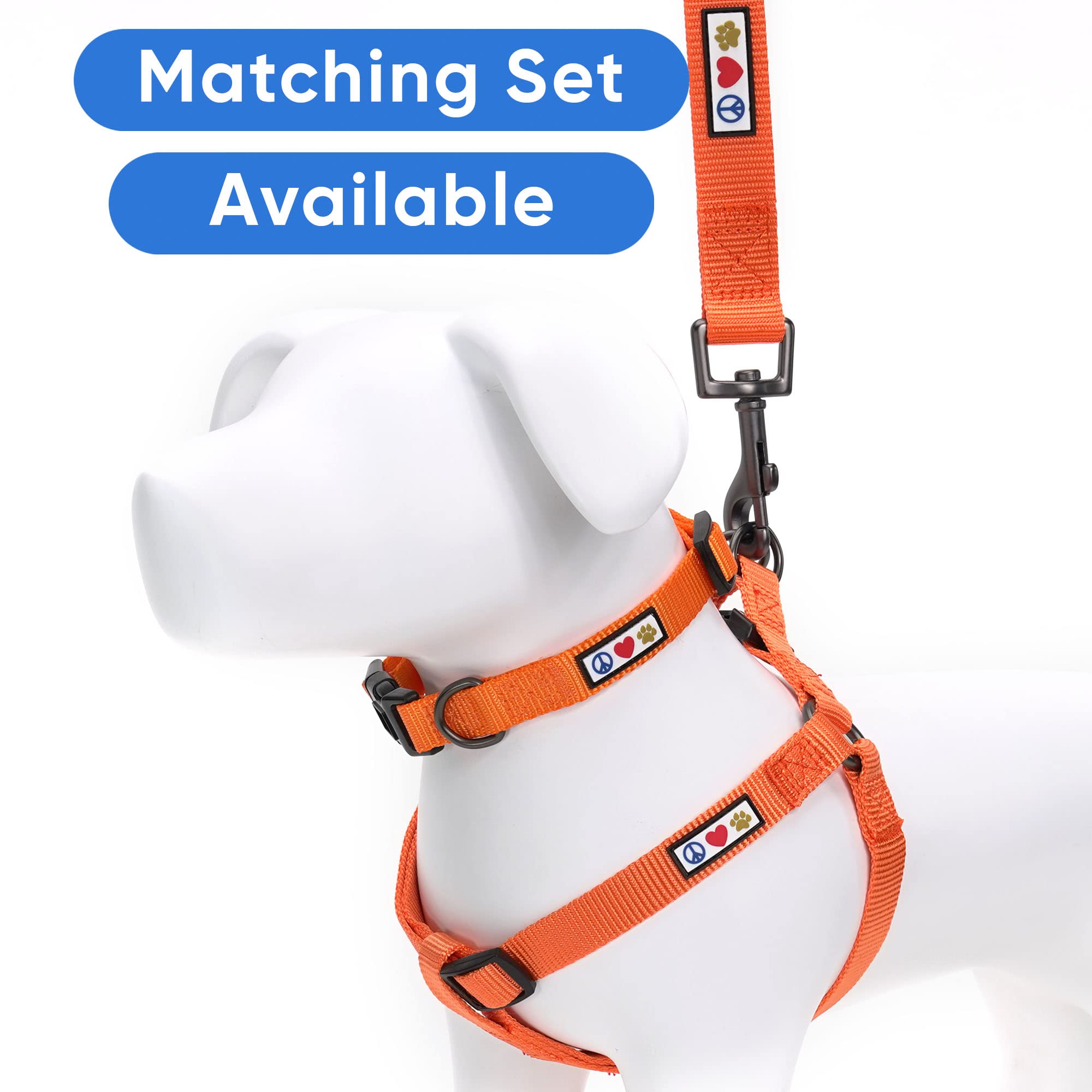 Pawtitas 6 FT Comfortable Leash - Solid Color, Medium/Large, Orange, Perfect for Dog Training