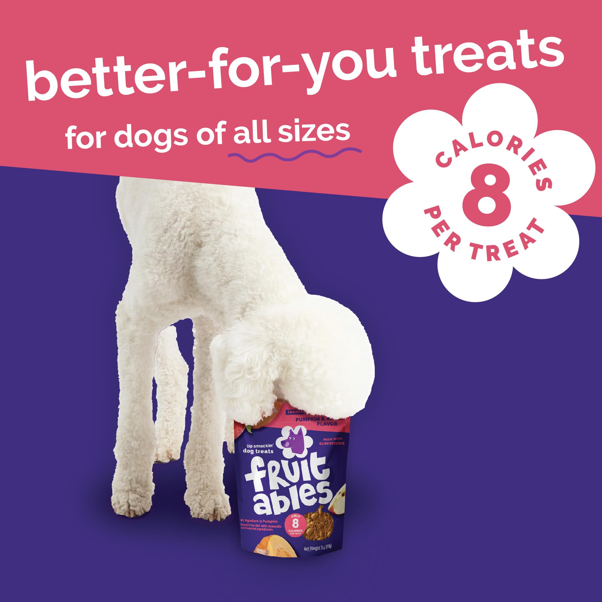 Fruitables Baked Pumpkin Dog Treats - Healthy Low-Calorie, Wheat-Free, Corn-Free, Soy-Free - Sweet Potato Training Treats for Do