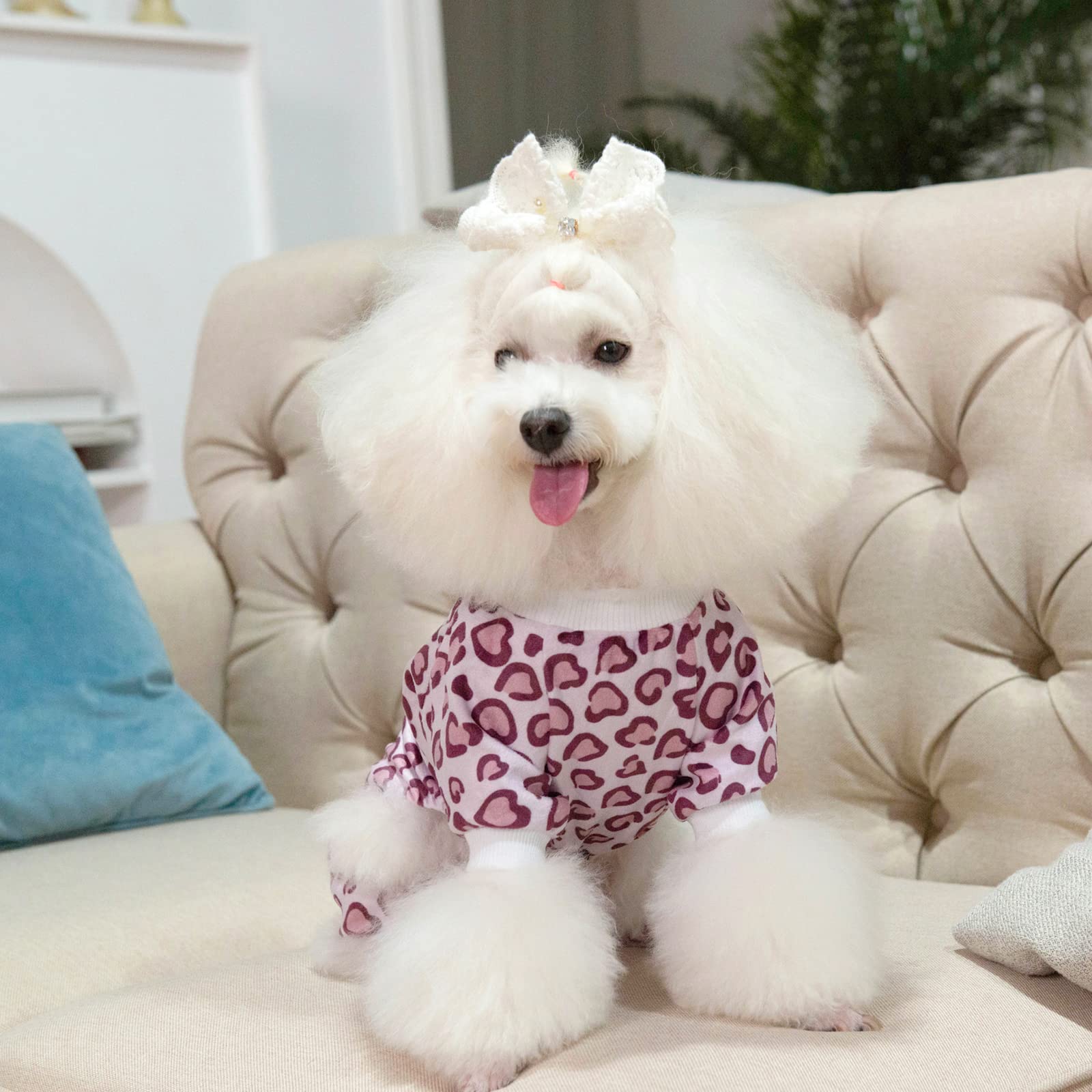 Cutebone Leopard Print Dog Pajamas Soft Puppy Pjs For Small Dogs P226M