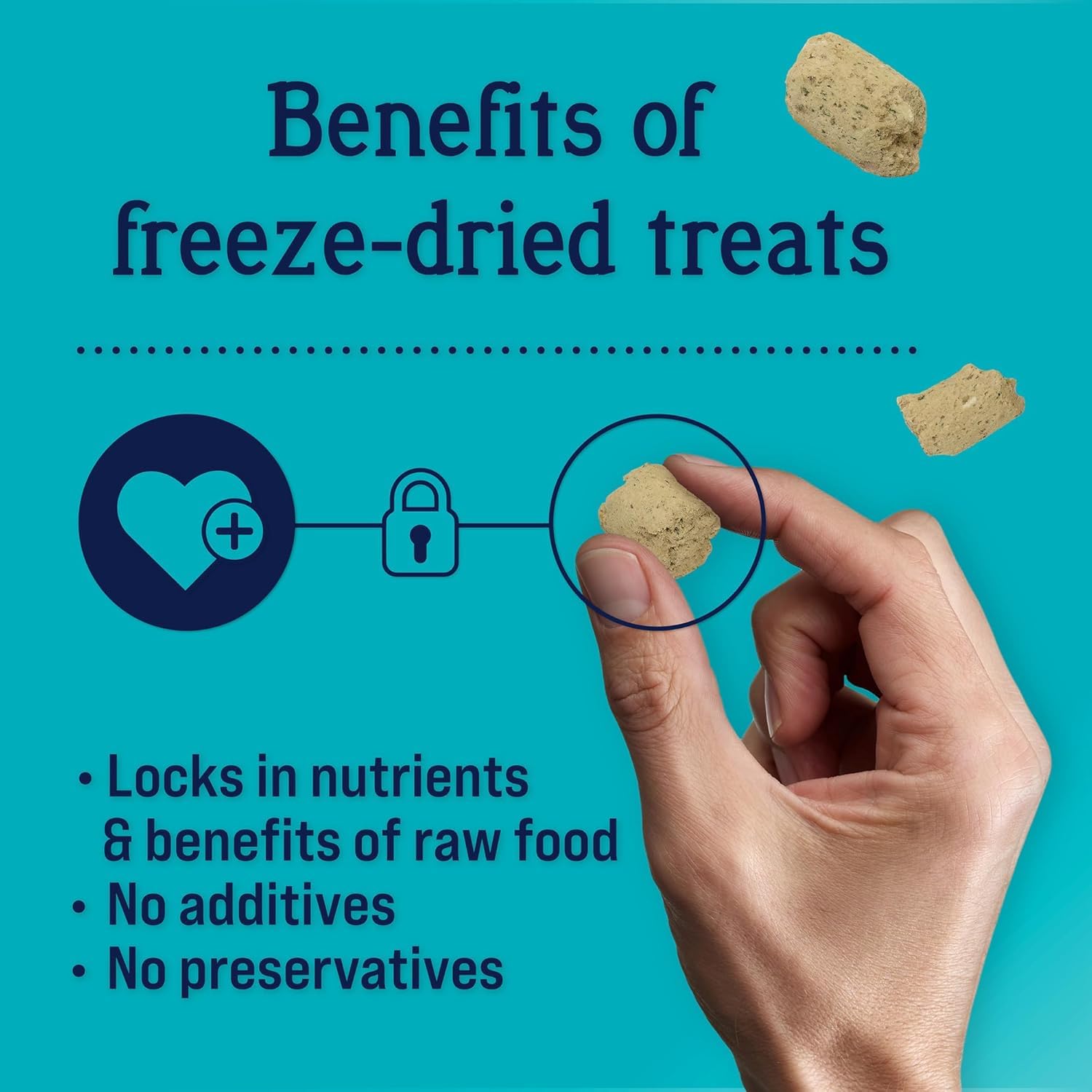 Stewart Freeze Dried Dog Treats, Salmon & Vegetable, Focus Treats, Cognitive Function, Grain Free, 4 Ounce Resealable Pouch, Mad