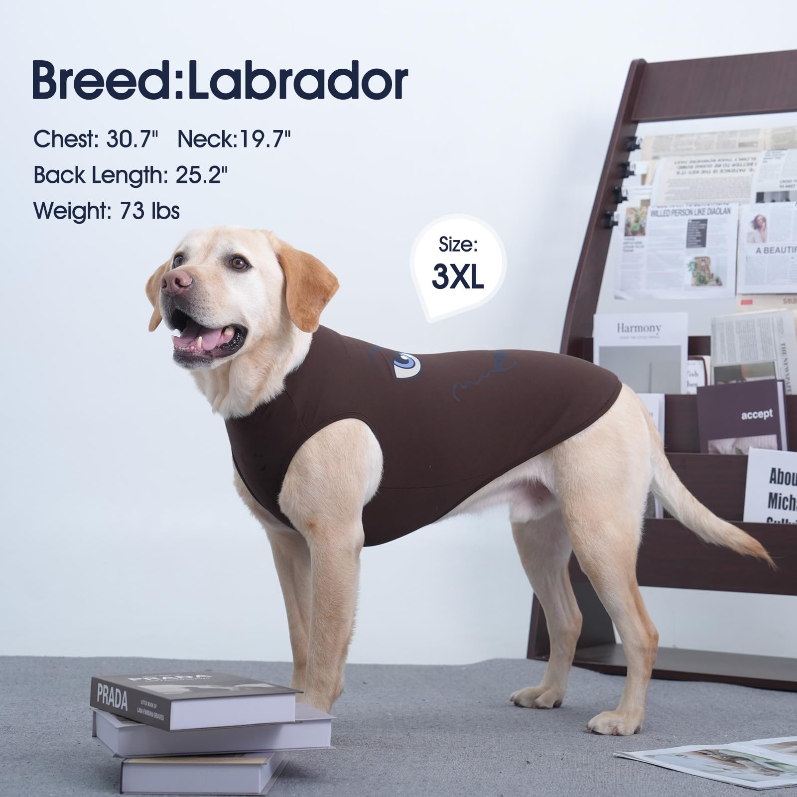 Iecoii 2 Pack Pet Tank Top Tee Sleeveless| Medium |Summer Dog Clothes Apparel,Pet Funny Costume Doggy T-Shirts Clothing For Smal