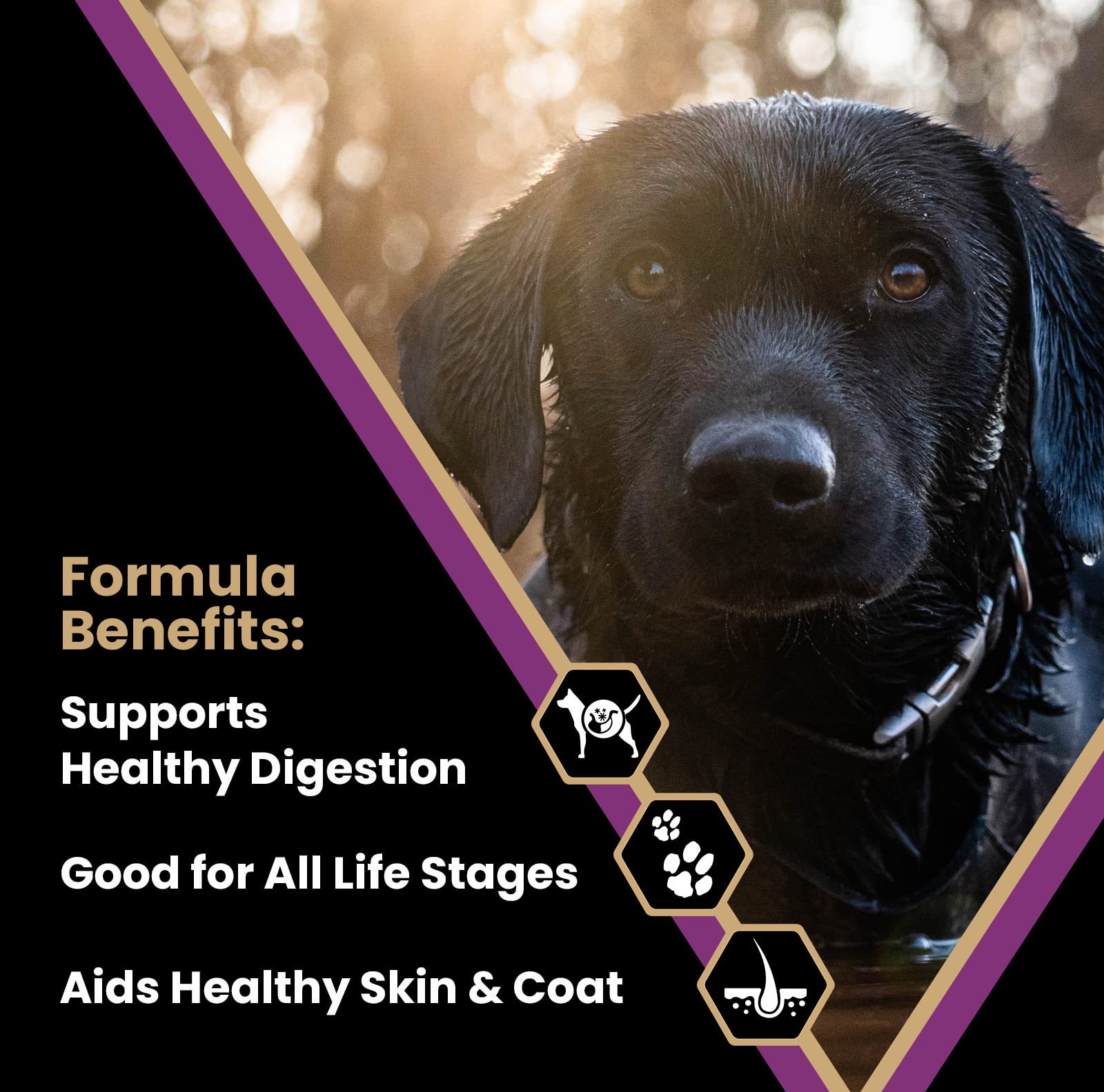 VICTOR Super Premium Professional Dry Dog Food - 26% Protein, Gluten Free - for High Energy and Active Dogs & Puppies, 40lbs