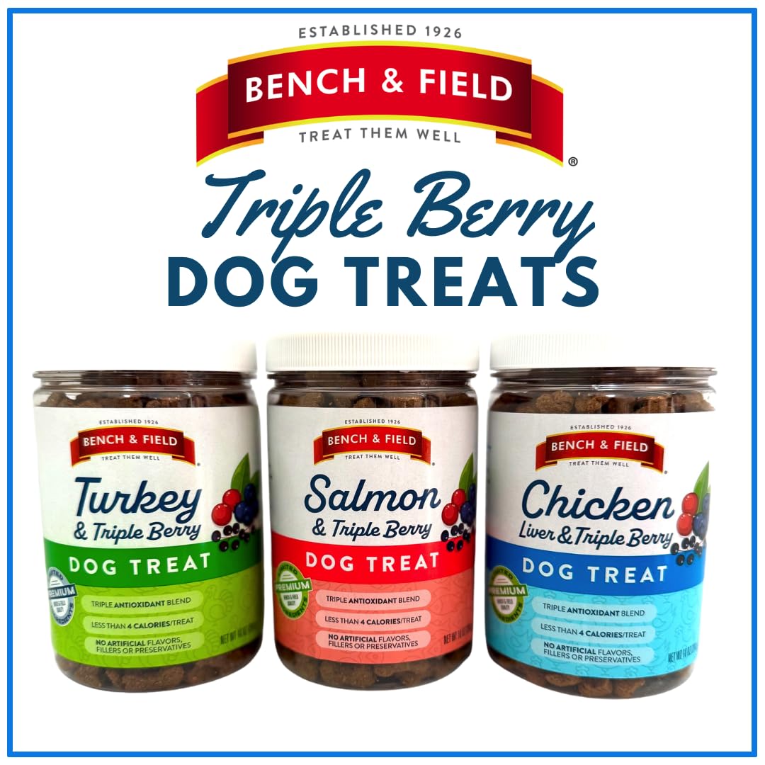 Bench & Field Holistic Natural Salmon & Triple Berry Dog Treats | Crunchy Bone-Shaped Bites | Antioxidant Blend, 10-Ounce Bottle