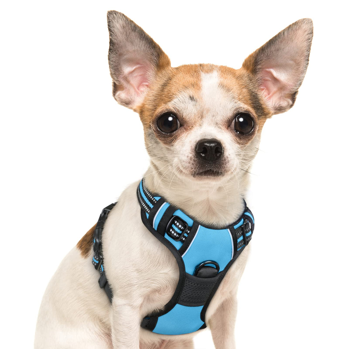 Eagloo Dog Harness Small Sized Dog, No Pull Service Vest With Reflective Strips And Control Handle, Adjustable And Comfortable For Easy Walking, No Choke Pet Harness With 2 Metal Rings, Sky Blue, S