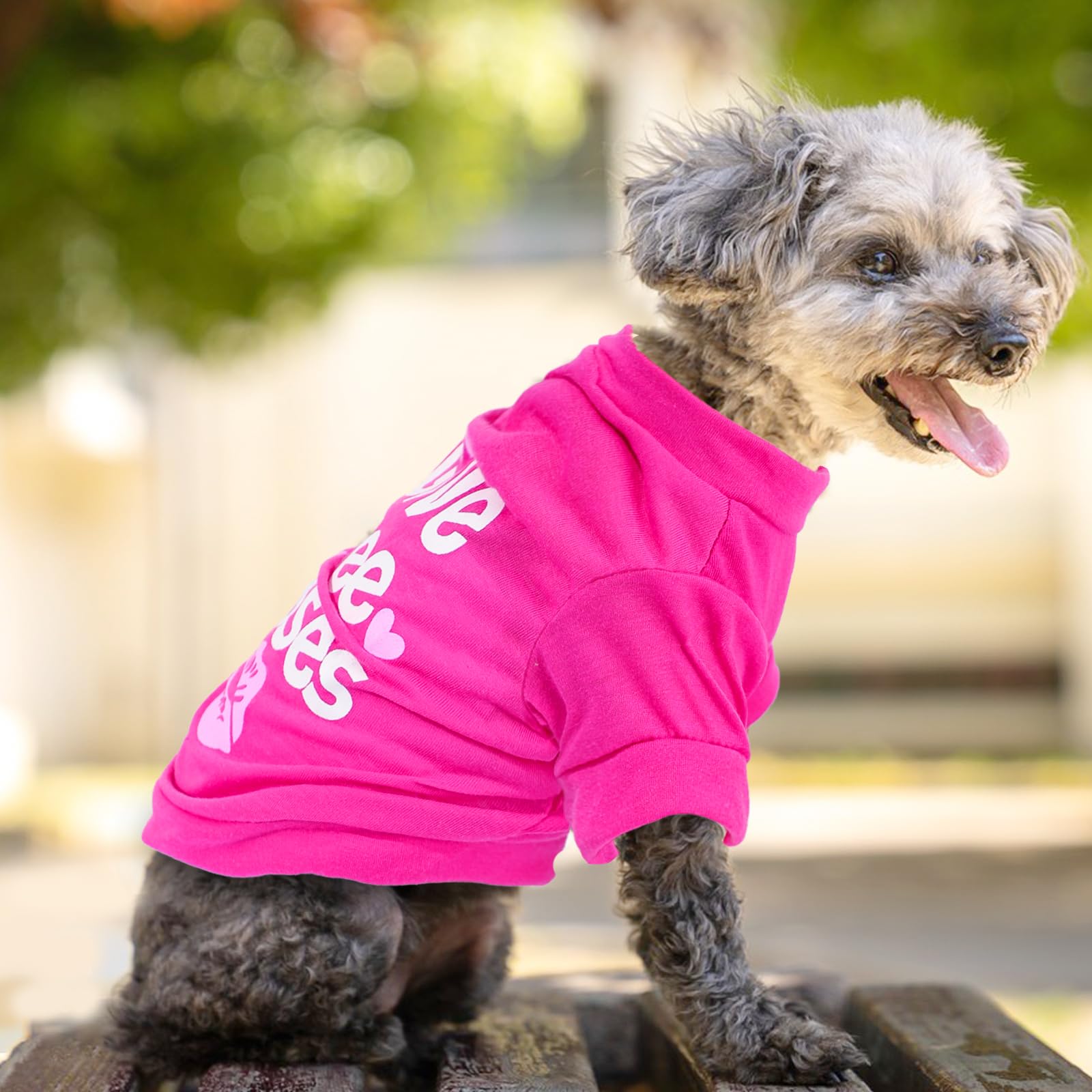 4 Pieces Girl Dog Clothes Summer Dog Shirts Cute Soft Breathable Pet T-Shirt Puppy Clothes For Small Medium Dog Girl And Cat (Me