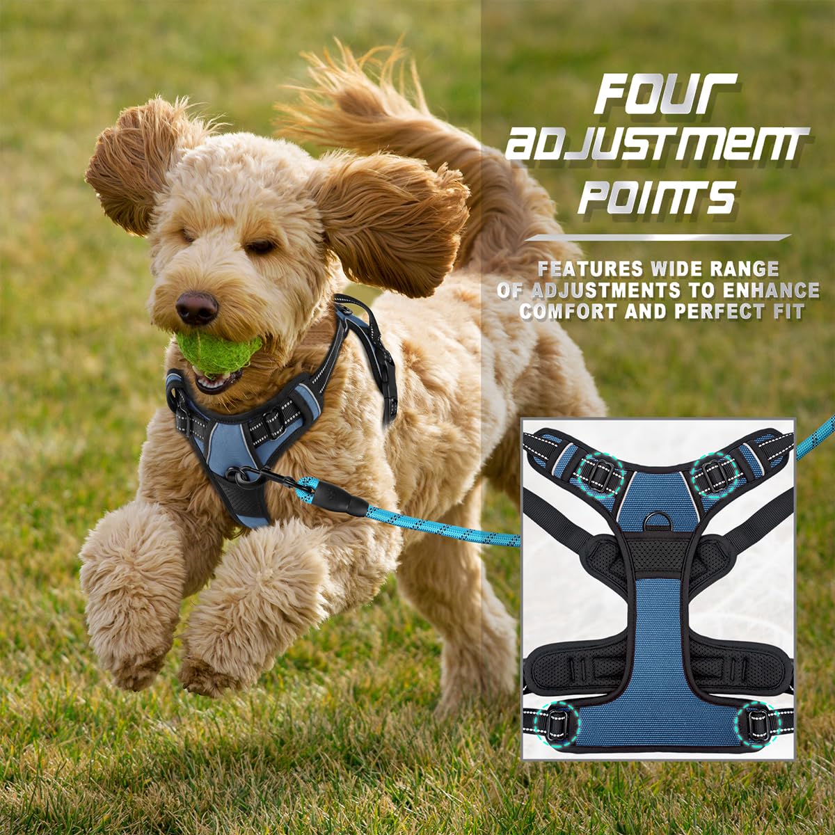 BARKBAY No Pull Dog Harness Front Clip Heavy Duty Reflective Easy Control Handle for Large Dog Walking(Navy,XS)