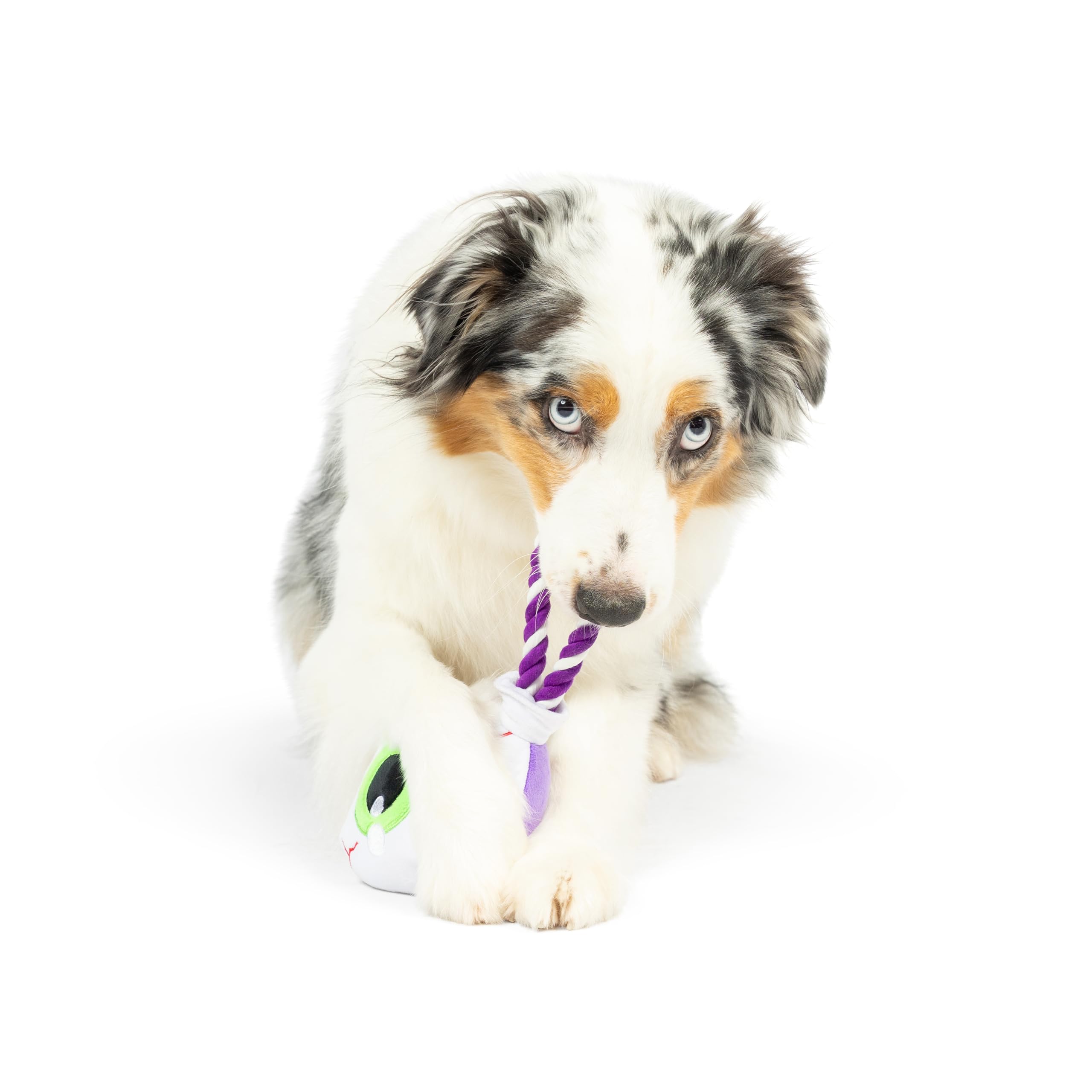 Huxley & Kent For Dogs | Eyeball Safety Pop | Halloween Fall Power Plush Dog Toy With Squeaker | Funny Dog Toy | Cute Dog Toy | H&K Squeaky Dog Toy