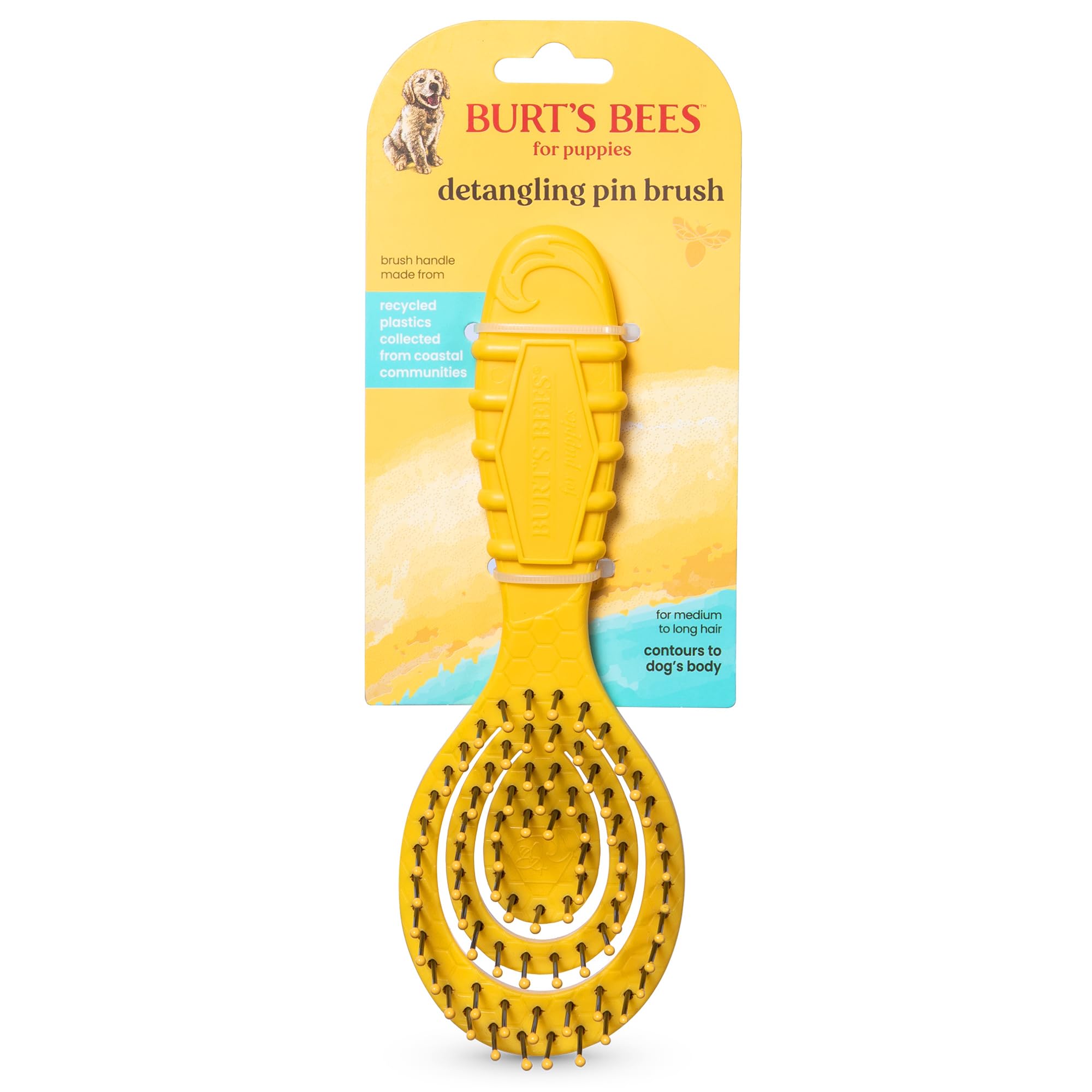 Burt's Bees for Pets Detangling Pin Brush for Puppies and Small Dogs | Handle Made from Recycled Plastics Collected from Coastal