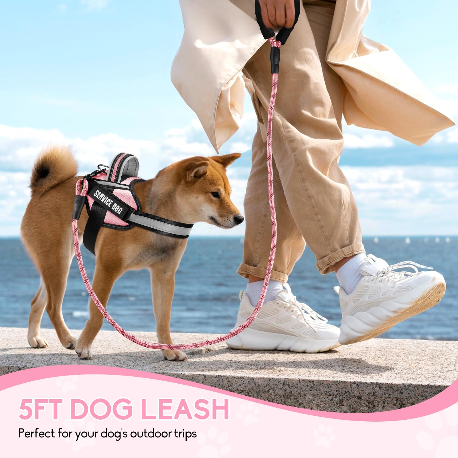 Service Dog Vest Harness And Leash Set, Animire In Training Dog Harness With 8 Dog Patches, Reflective Dog Leash With Soft Padded Handle For Small, Medium, Large, And Extra-Large Dogs