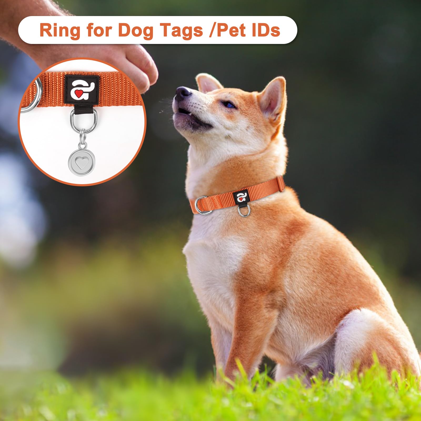 Azuza 3 Pack Fall Dog Collars Comfortable And Adjustable Nylon Dog Collars For Large Dogs, L (18-26Inch), Ginger Yellow, Rust Or