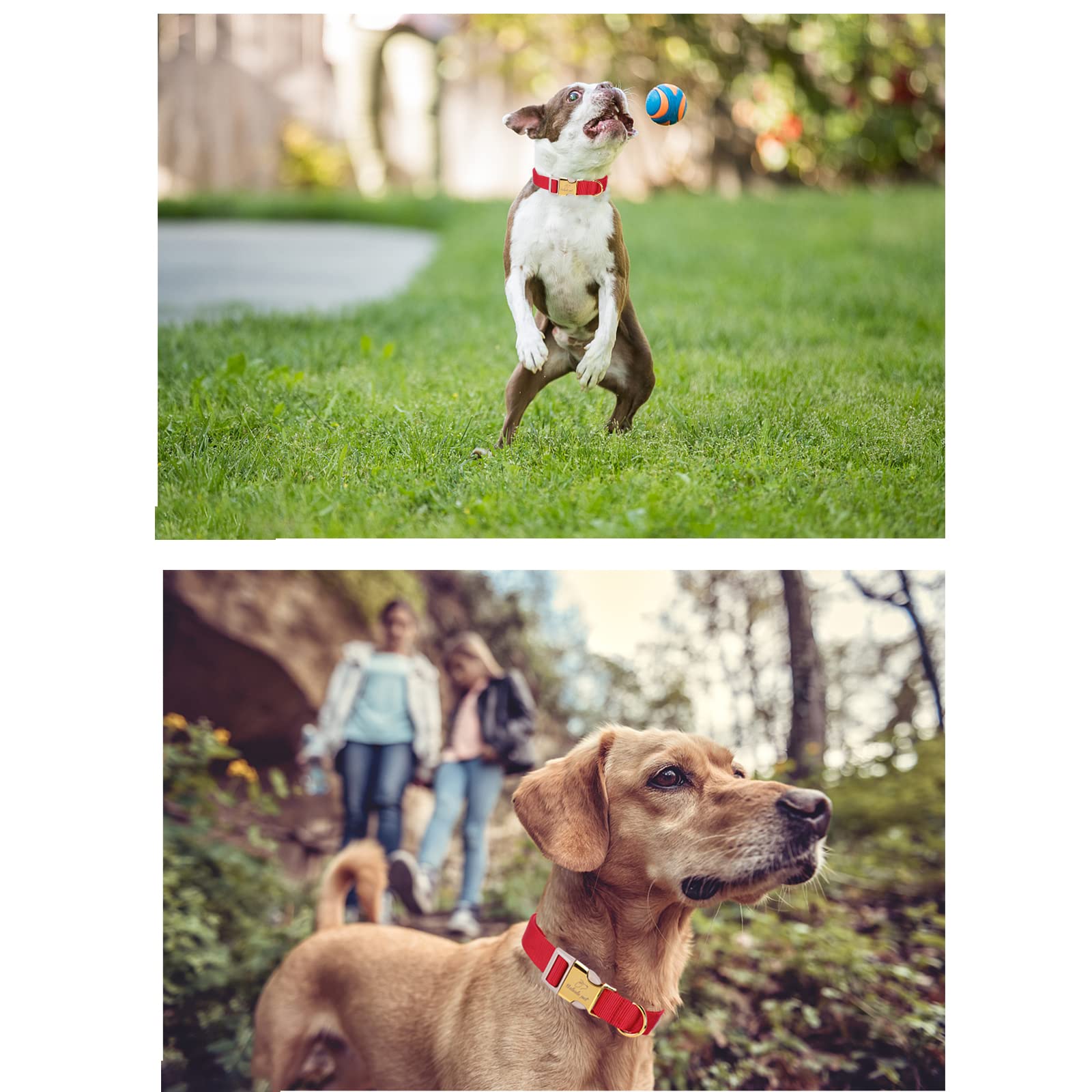 Babole Pet Nylon Dog Collar - Adjustable Burgundy Red Soft Webbing Dog Collars For Small Medium Large Dogs Boy Girl Puppy Collar