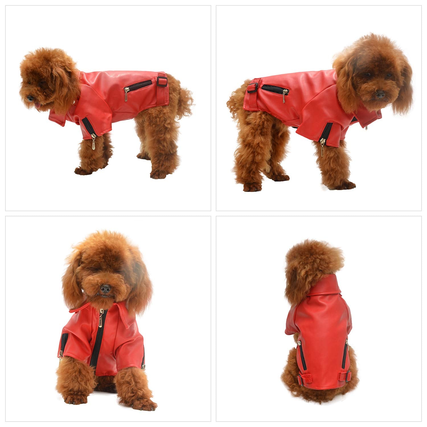 Lovelonglong Cool Dog Leather Jacket, Warm Coats Dogs Windproof Cold Weather Coats For Large Medium Small Dogs, Toy Poodle Cloth