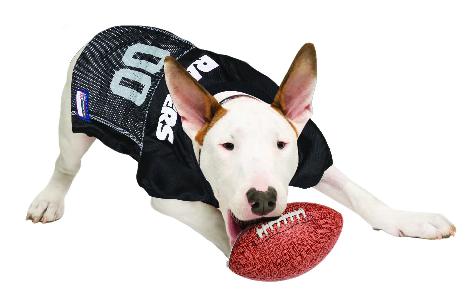Nfl Raiders Dog Jersey, Size: Xx-Large. Best Football Jersey Costume For Dogs & Cats. Licensed Jersey Shirt