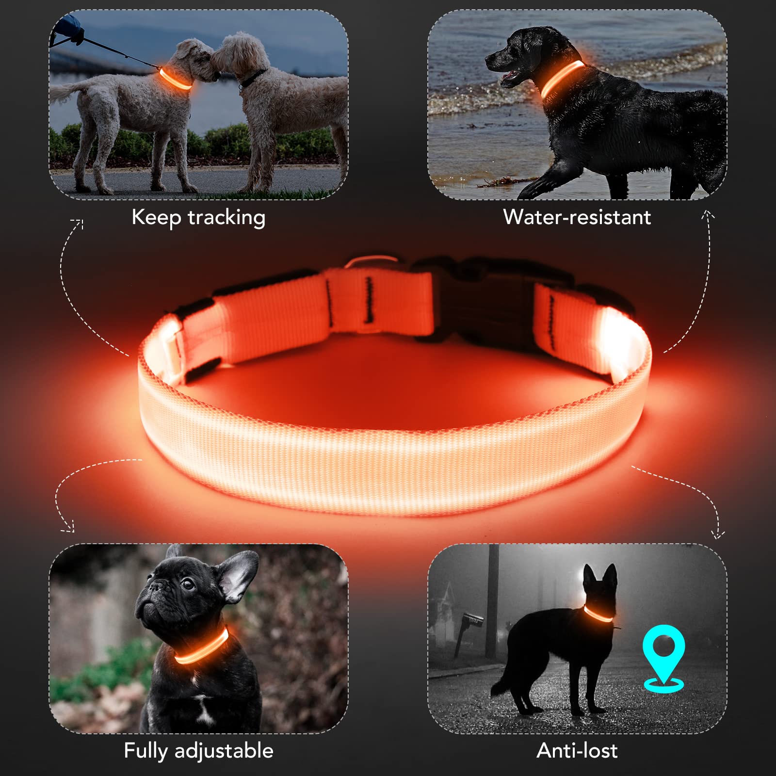 Koskill Light Up Collar At Night, Led Adjustable, Rechargeable Waterproof Dog Lights For Night Walking, Glow In The Dark For Med