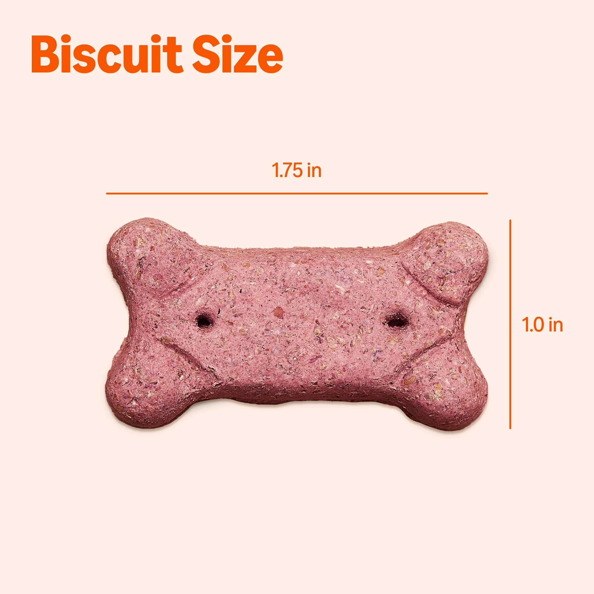 Amazon Basics Crunchy Dog Biscuits, Multi Flavor Treats, 5 lb. Box